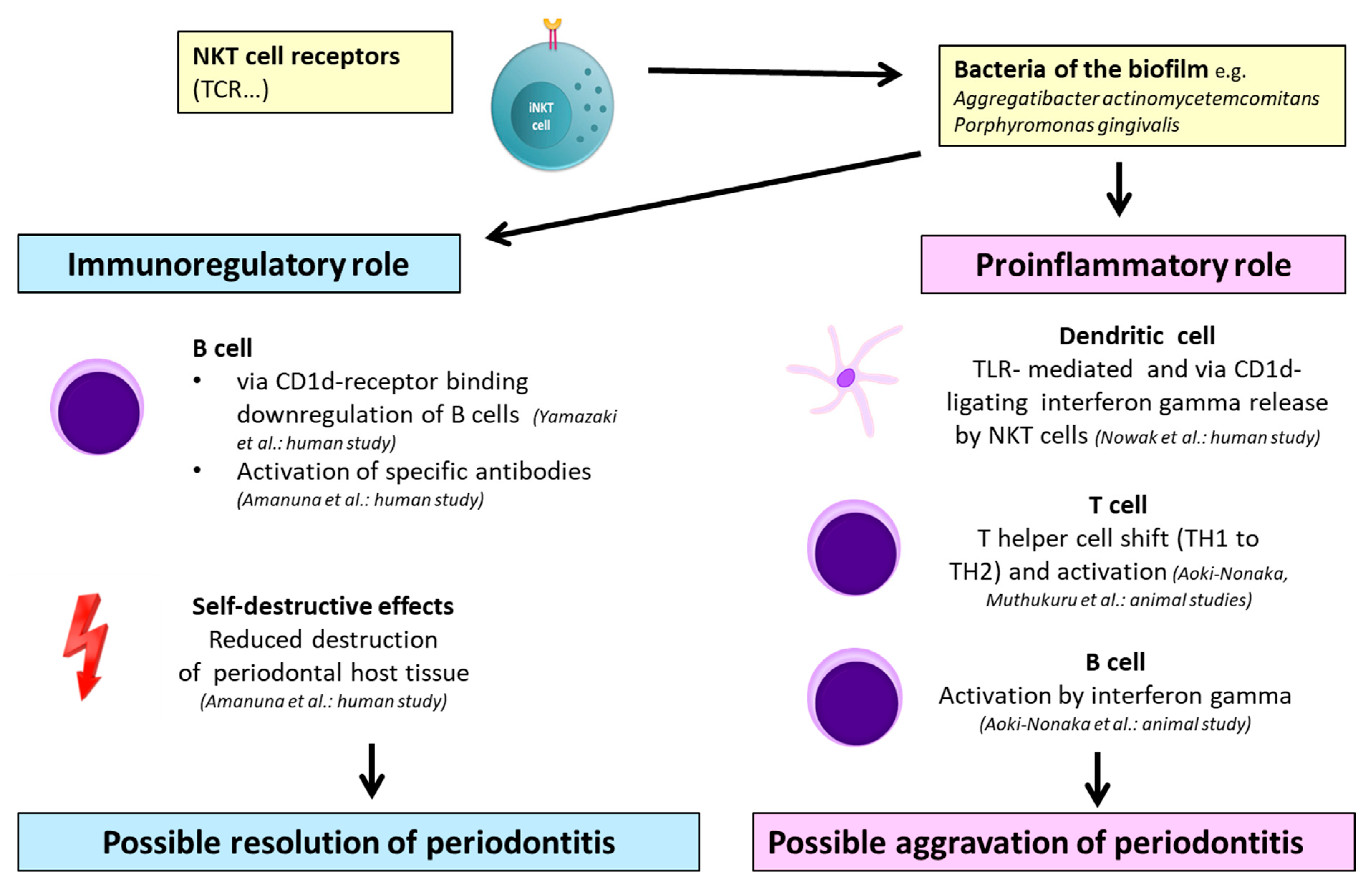 Ijms 21 09766 g005 Ijms 21 09766 g005