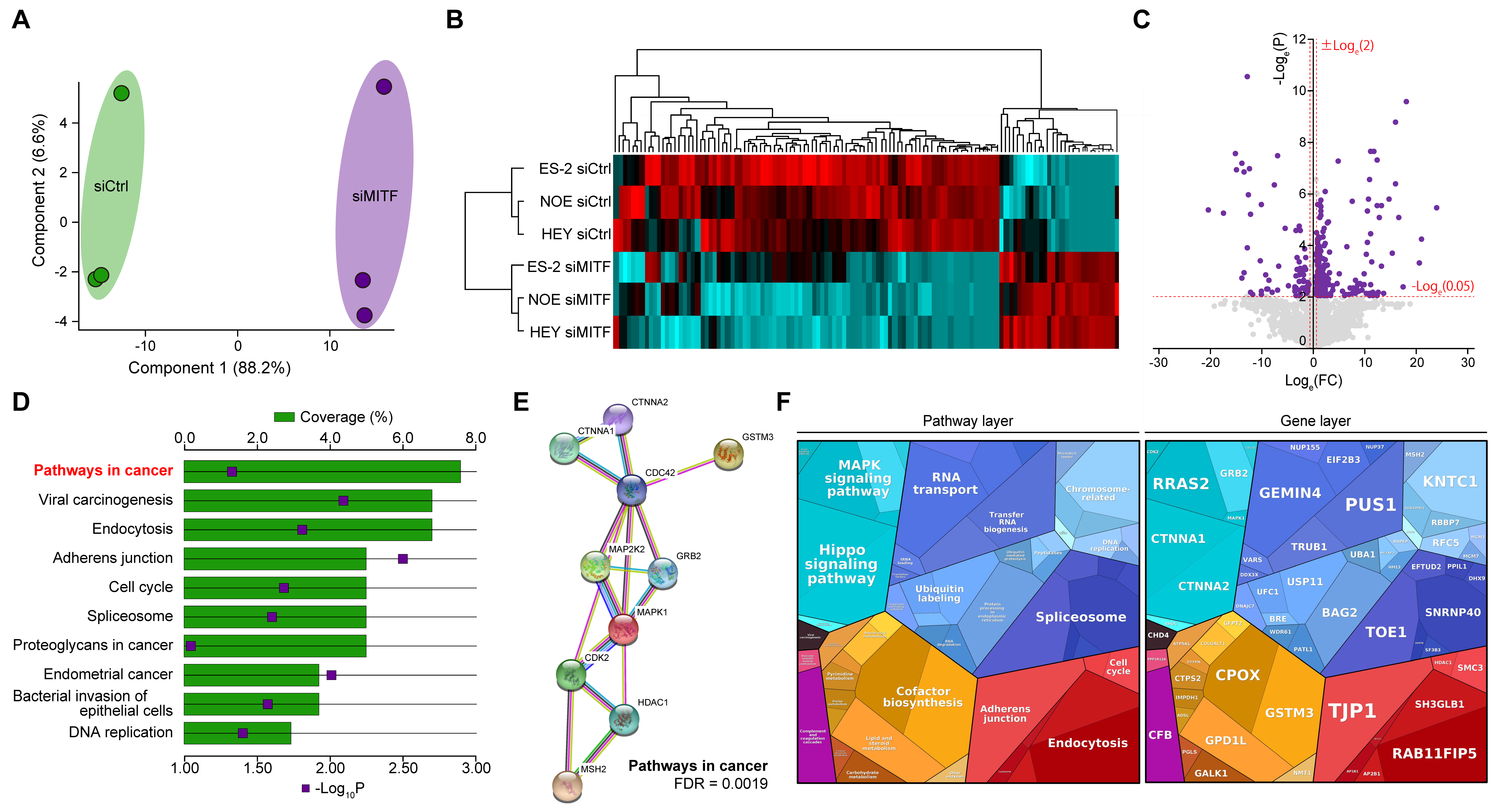Ijms 21 09776 g004 Ijms 21 09776 g004