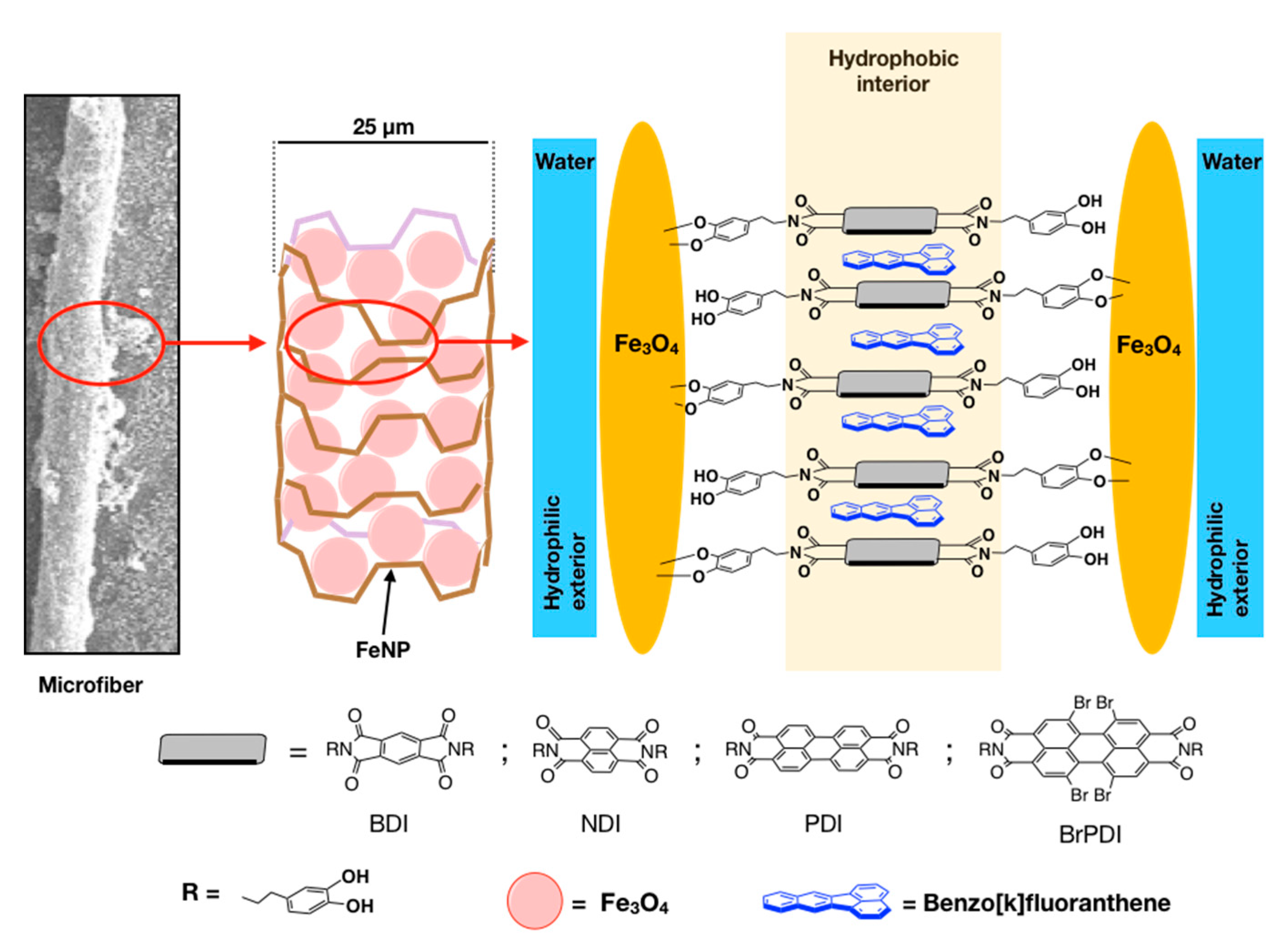 Ijms 22 00017 g002 Ijms 22 00017 g002