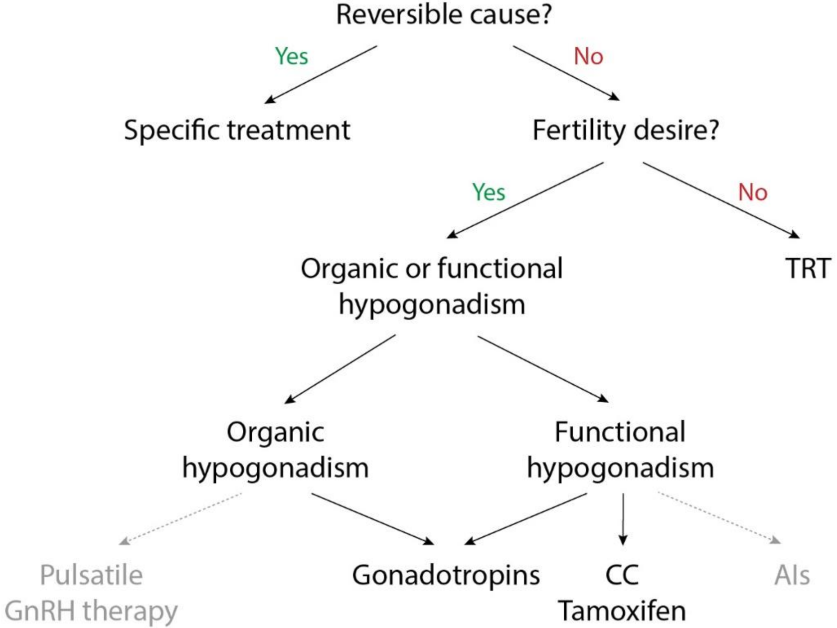 Ijms 22 00021 g002 Ijms 22 00021 g002