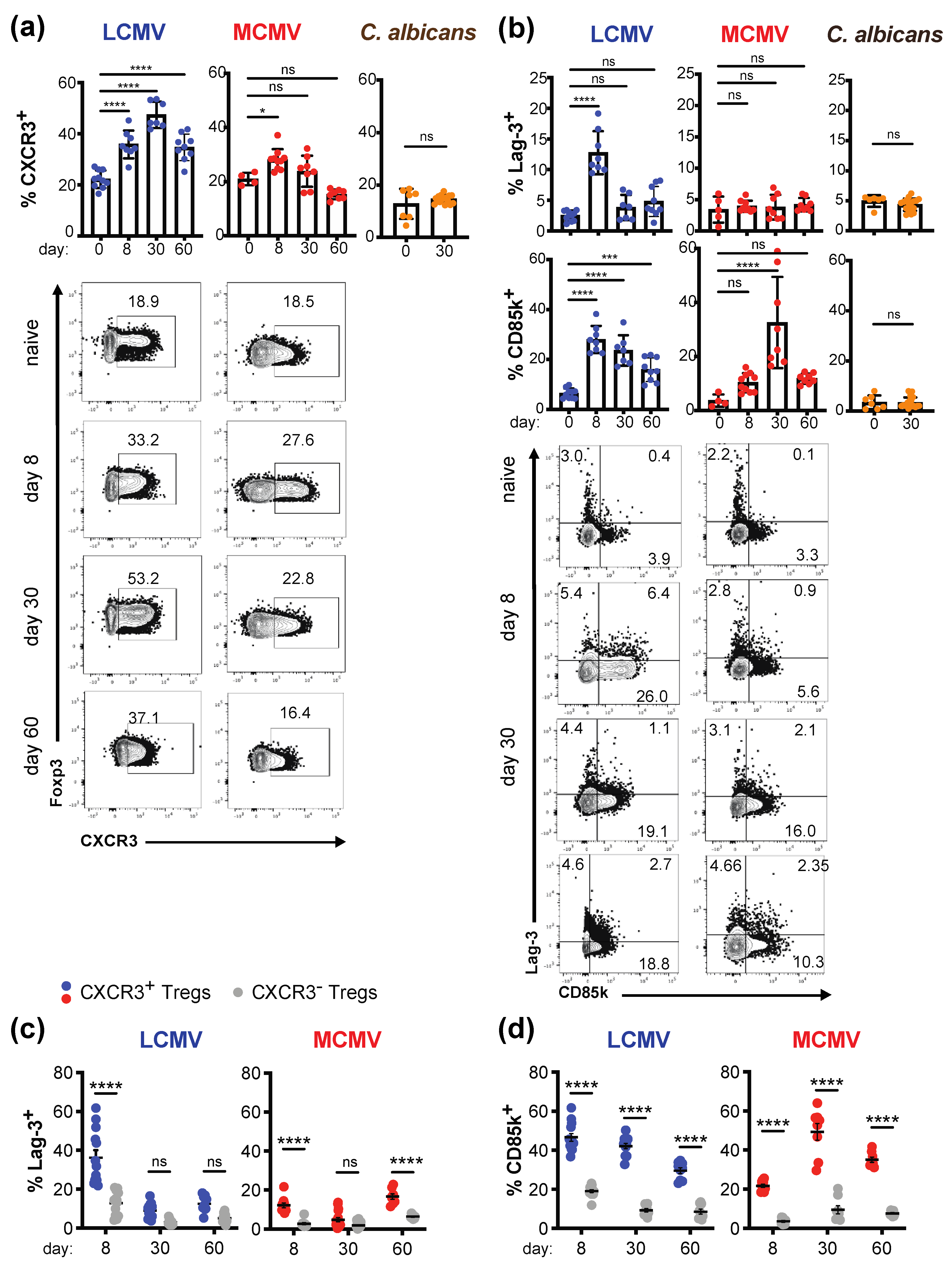 Ijms 22 00031 g002 Ijms 22 00031 g002