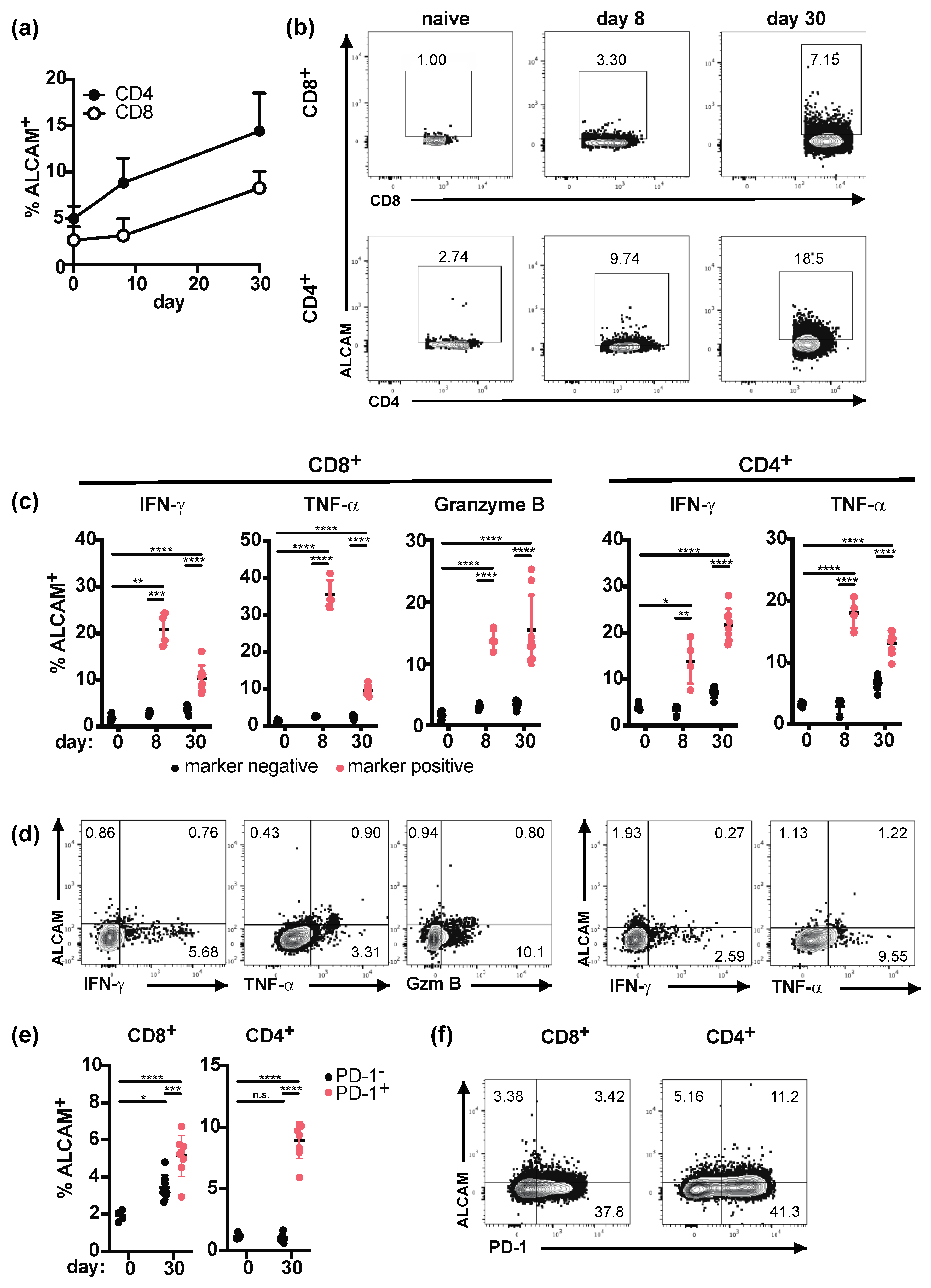 Ijms 22 00031 g004 Ijms 22 00031 g004