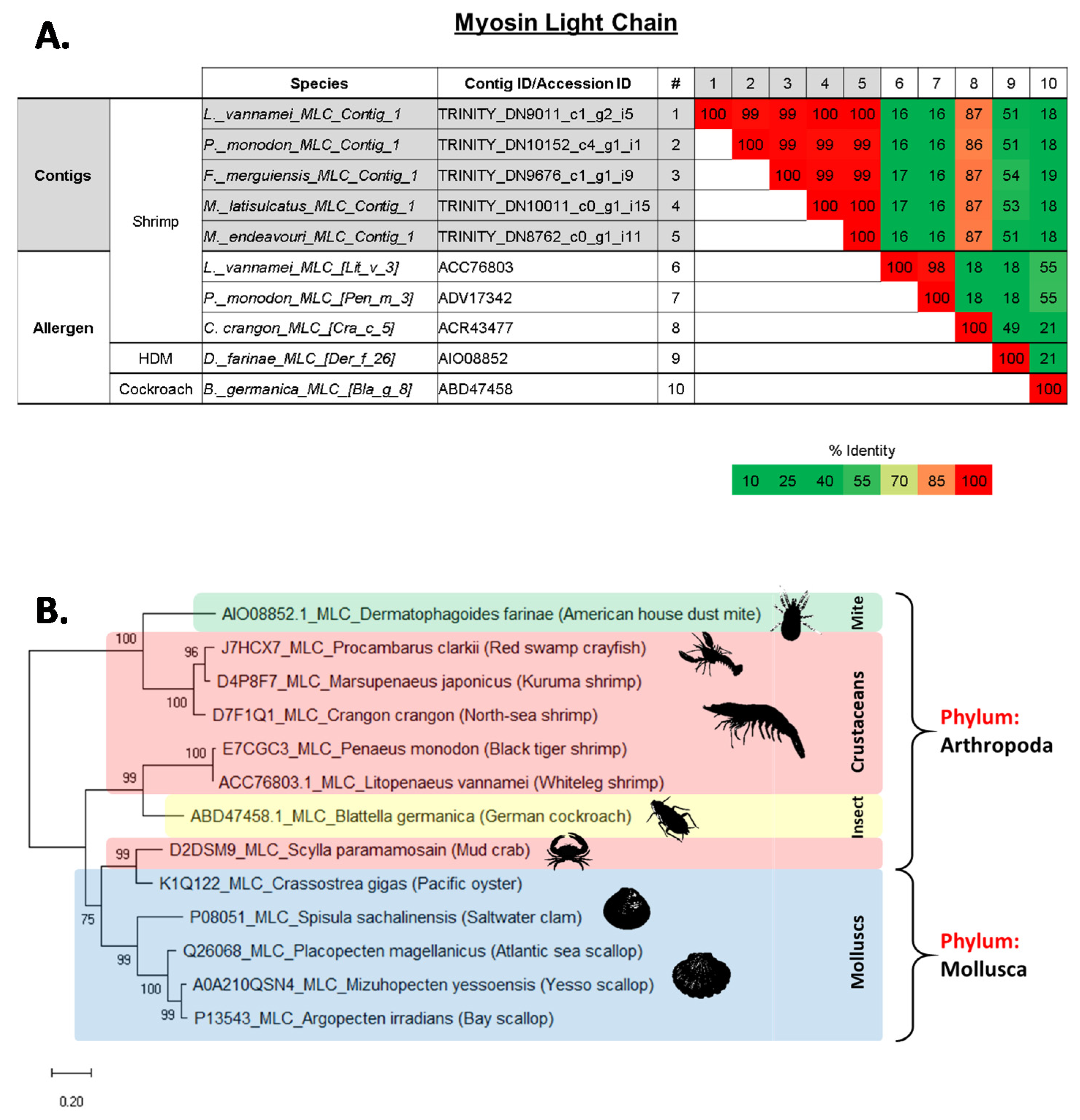 Ijms 22 00032 g005 Ijms 22 00032 g005