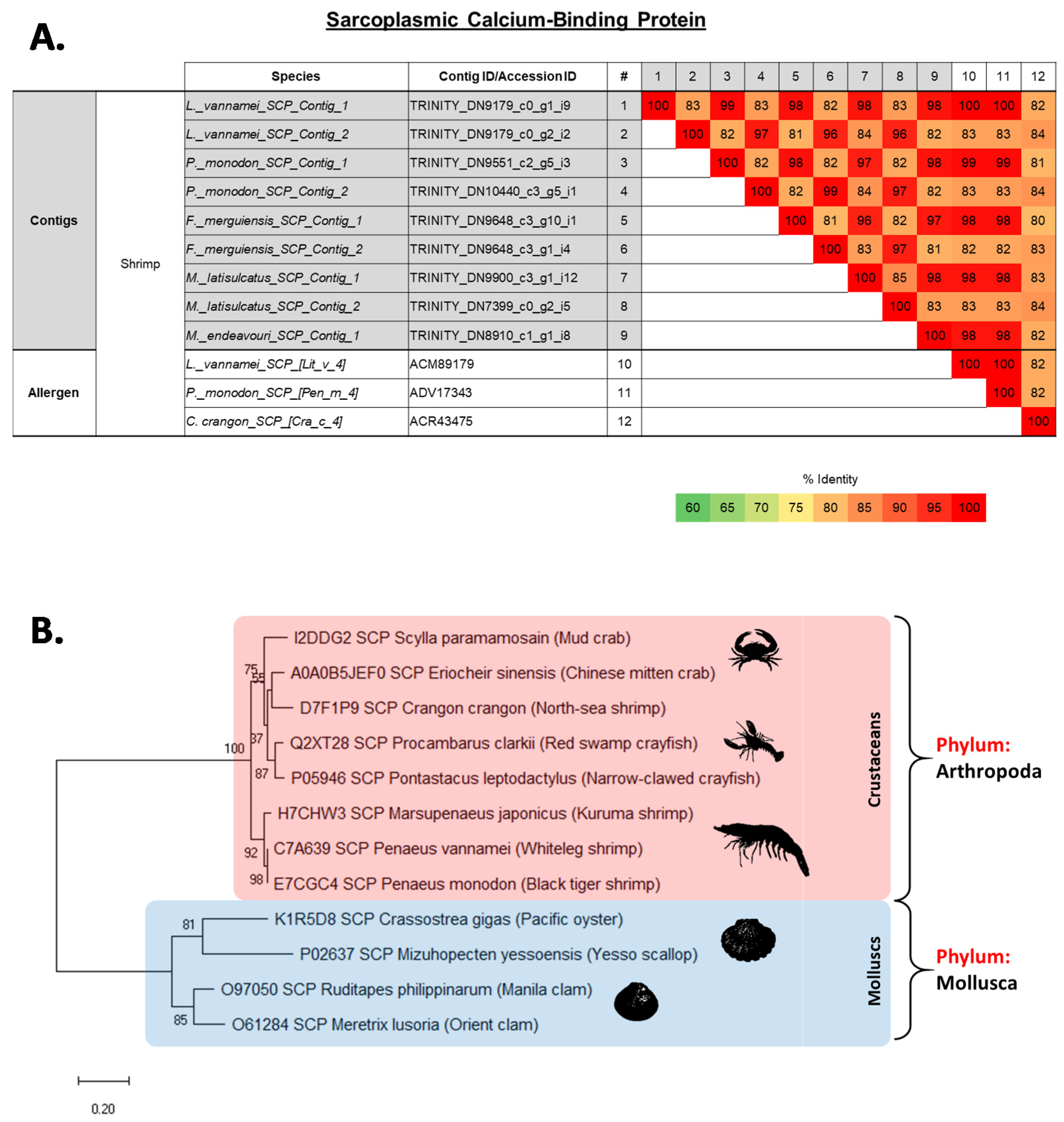 Ijms 22 00032 g006 Ijms 22 00032 g006