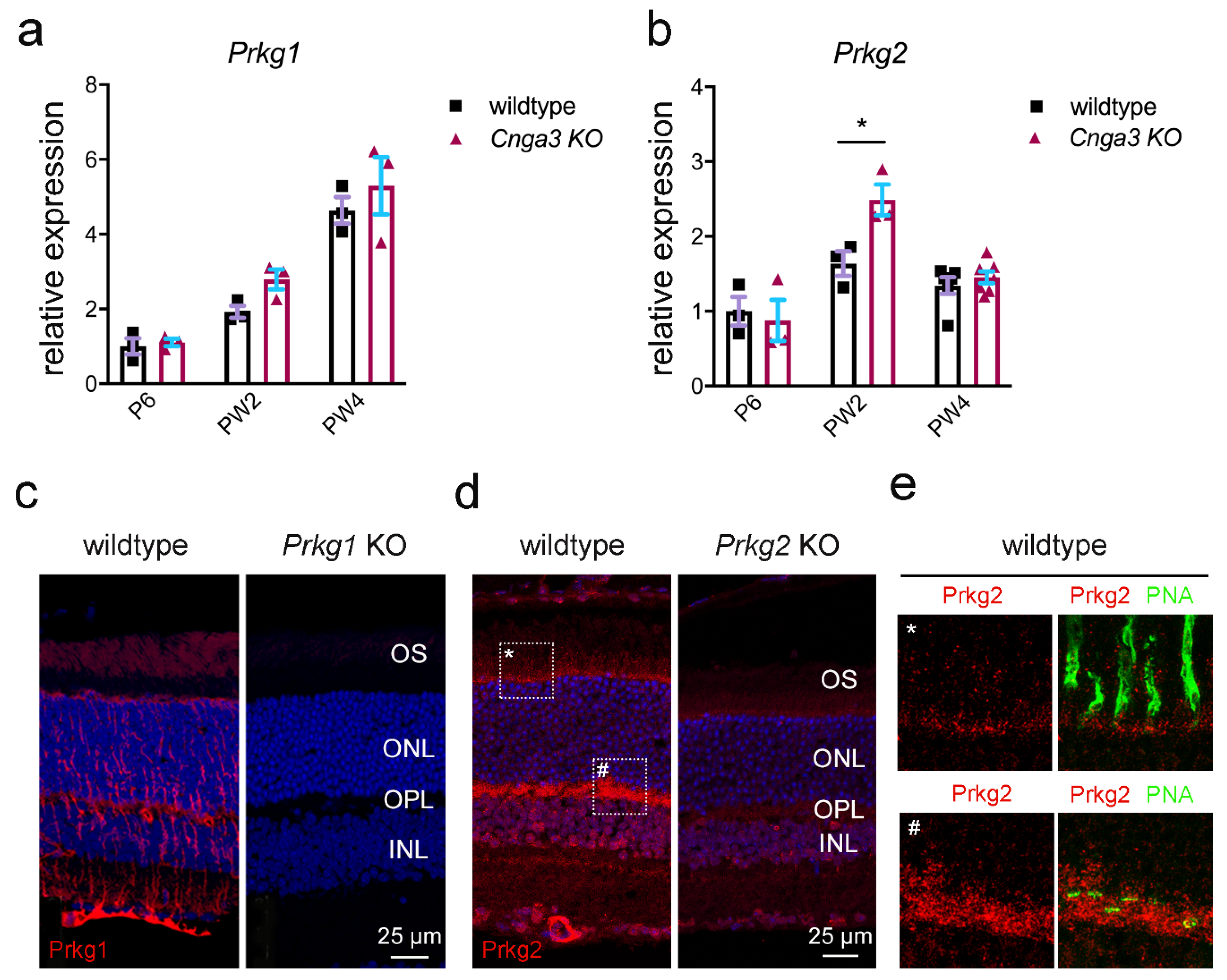 Ijms 22 00052 g002 Ijms 22 00052 g002