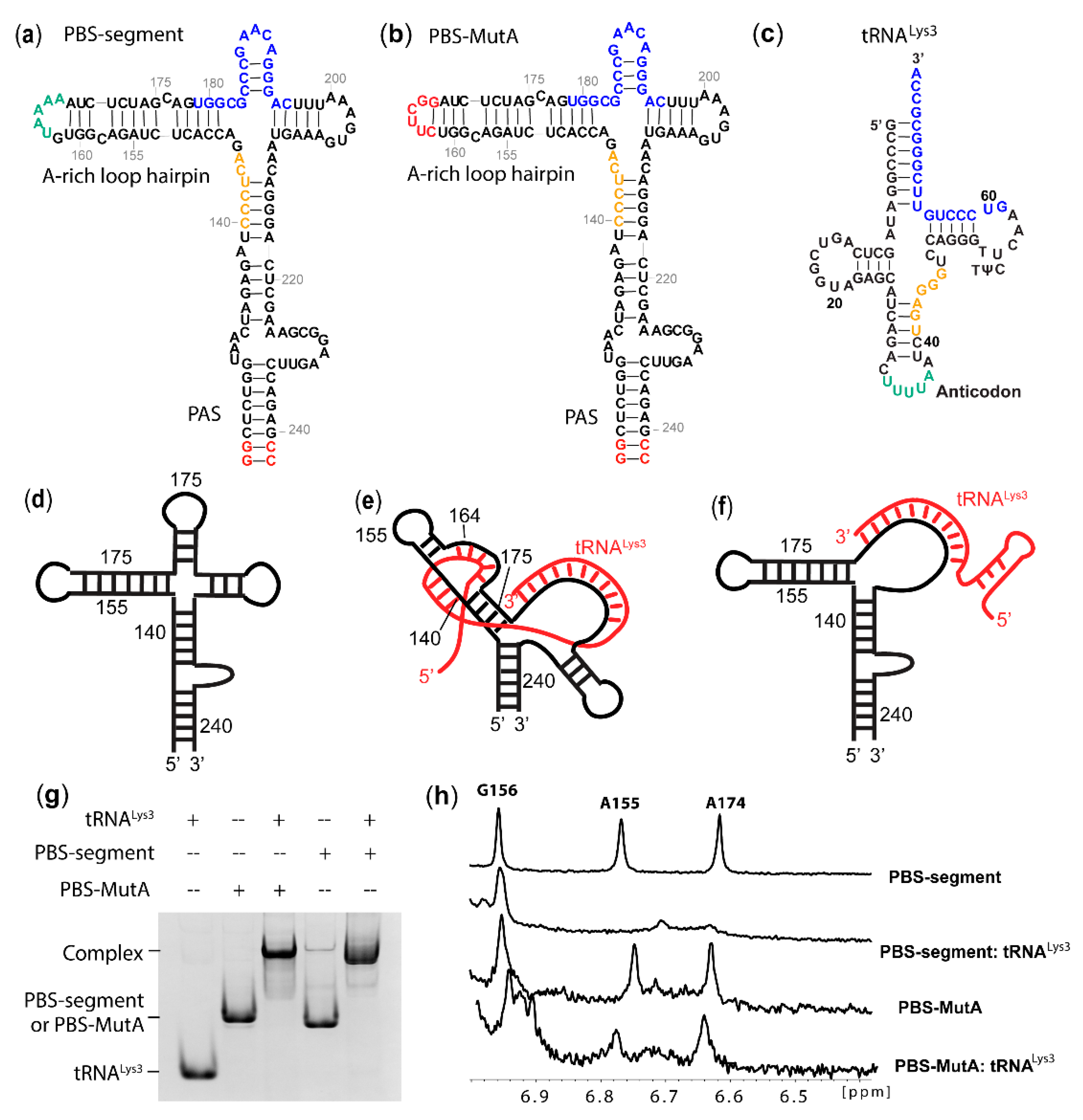 Ijms 22 00058 g001 Ijms 22 00058 g001