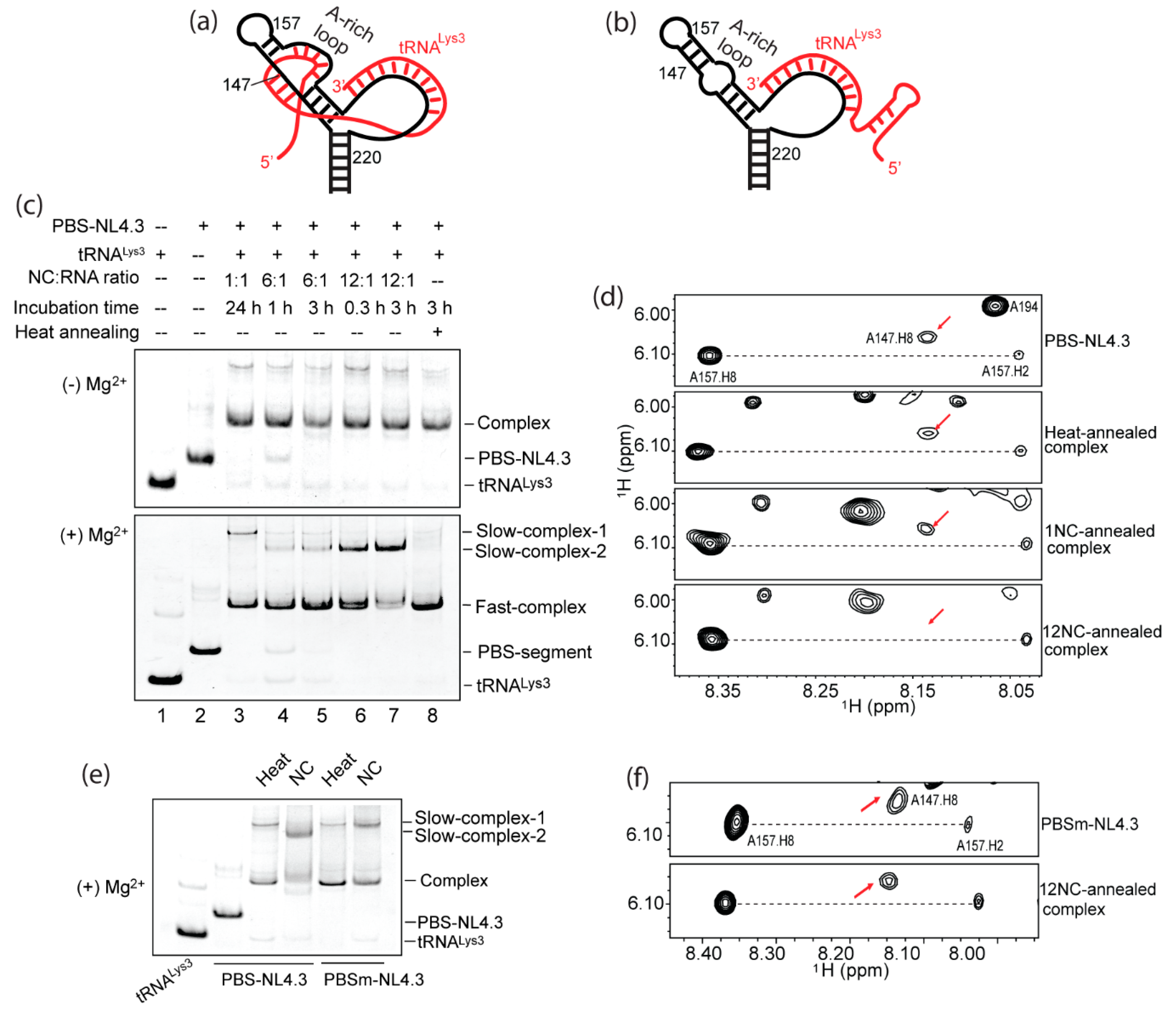 Ijms 22 00058 g006 Ijms 22 00058 g006