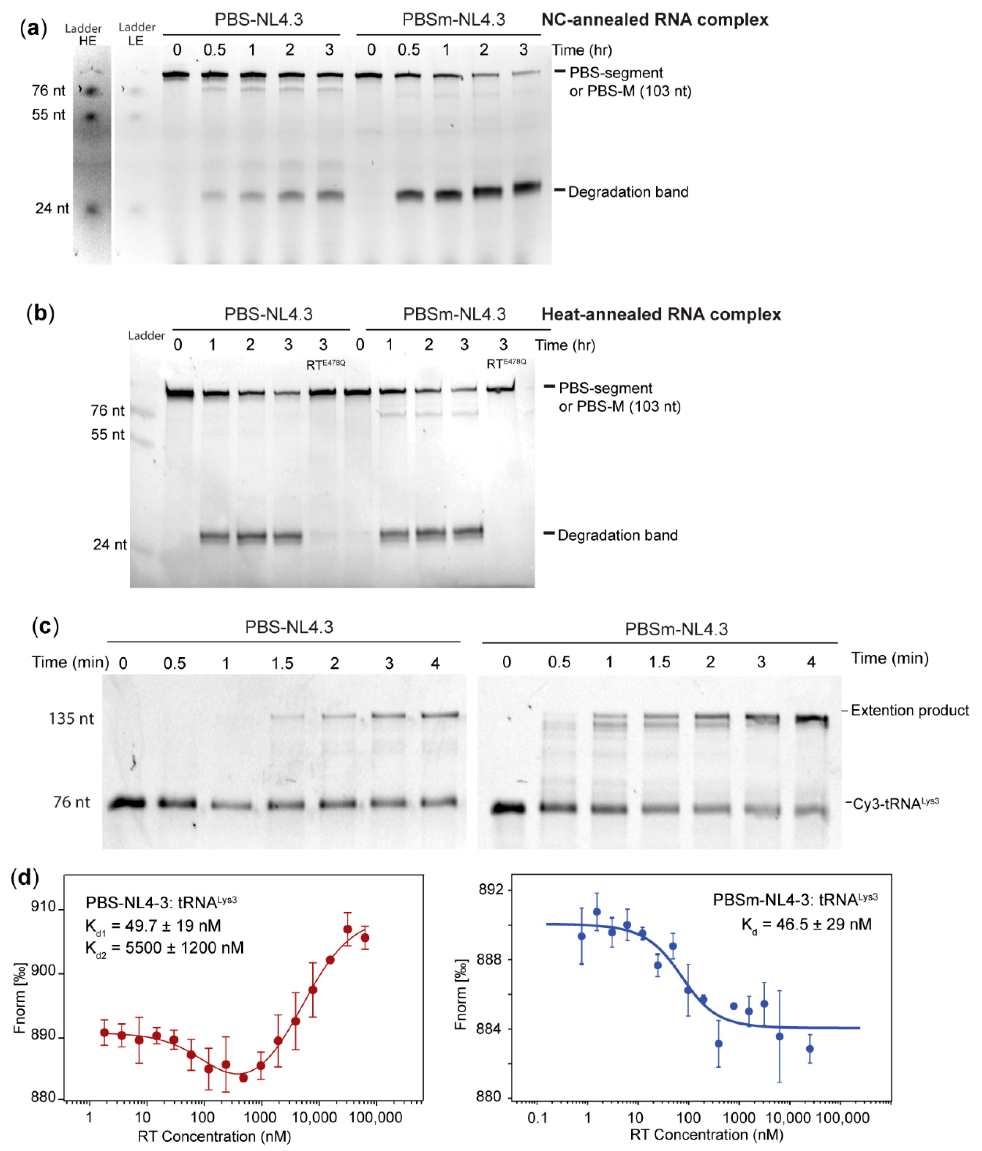 Ijms 22 00058 g007 Ijms 22 00058 g007