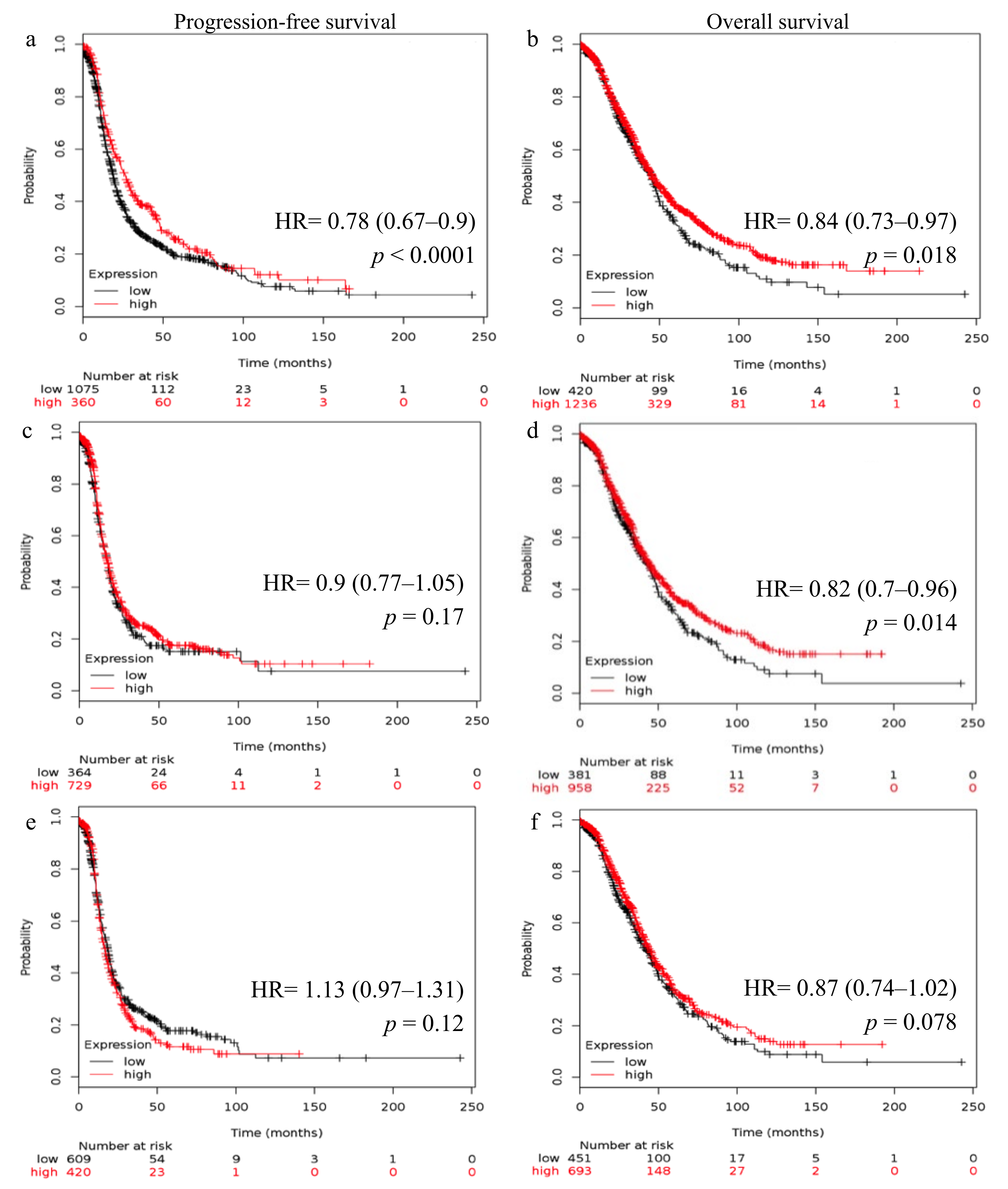 Ijms 22 00071 g004 Ijms 22 00071 g004