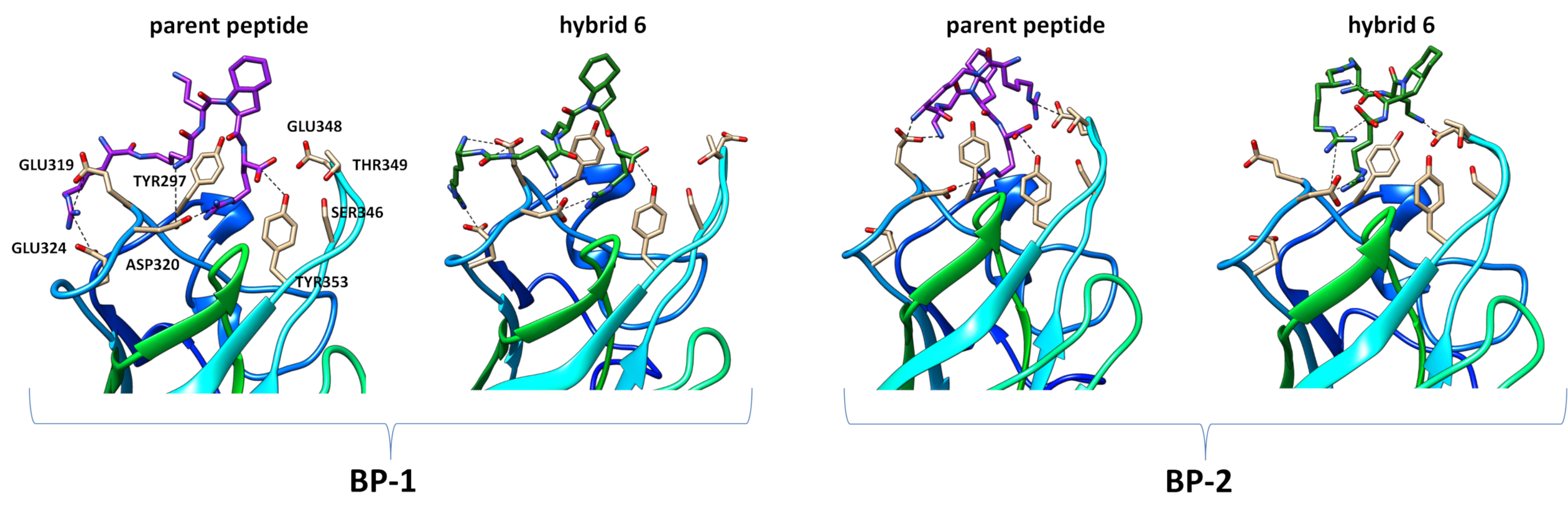 Ijms 22 00072 g004 Ijms 22 00072 g004