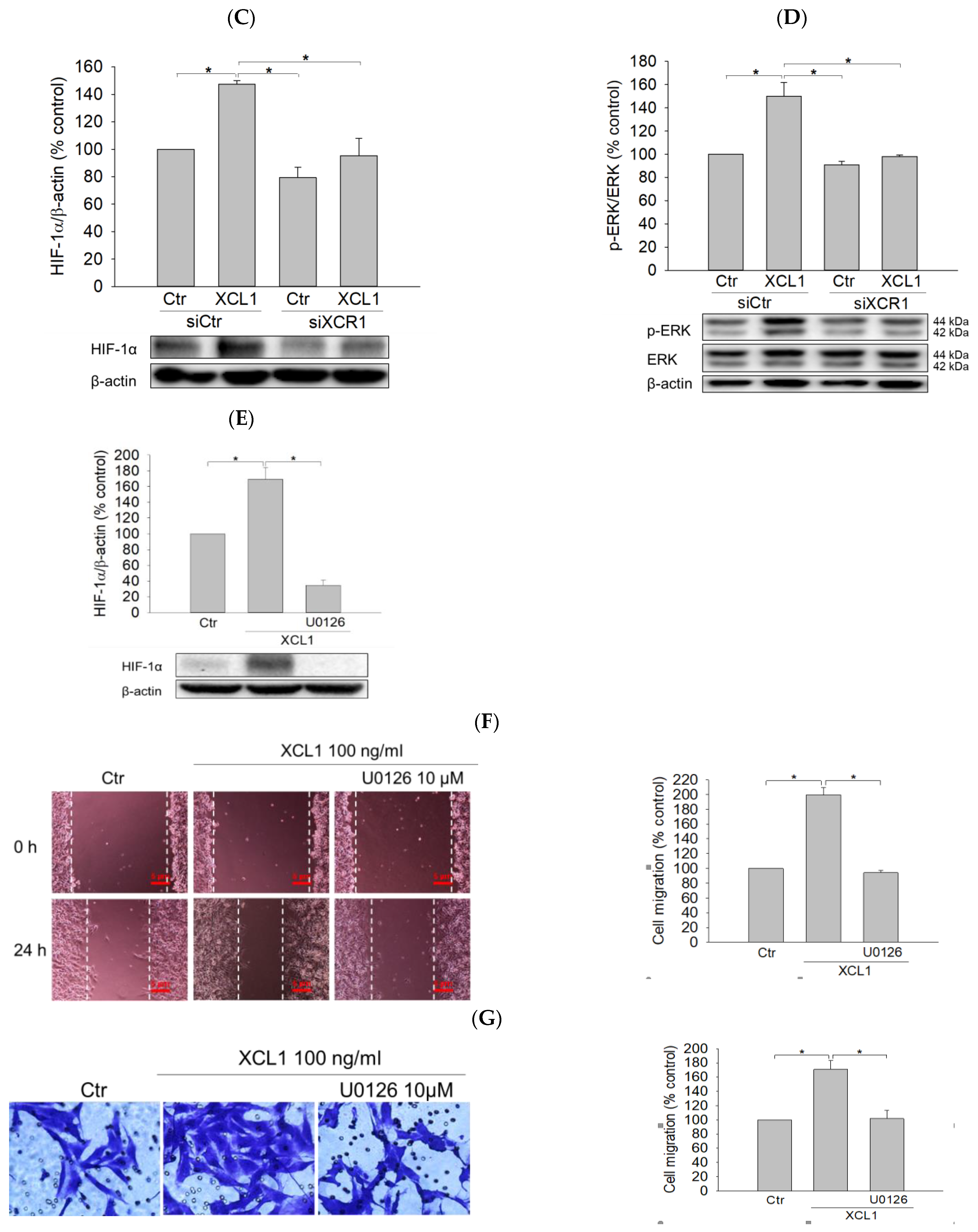 Ijms 22 00089 g005b Ijms 22 00089 g005b