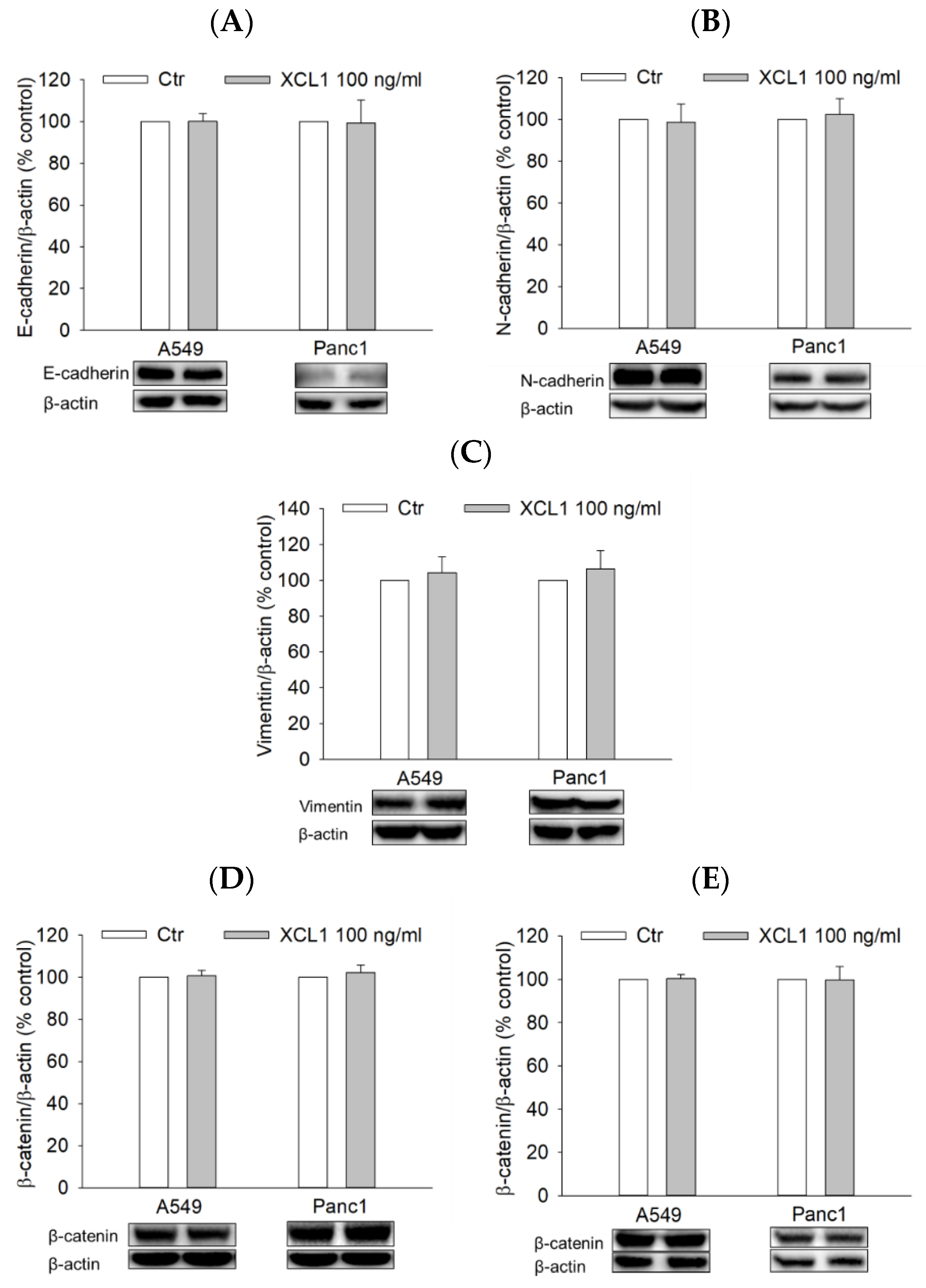 Ijms 22 00089 g008a Ijms 22 00089 g008a