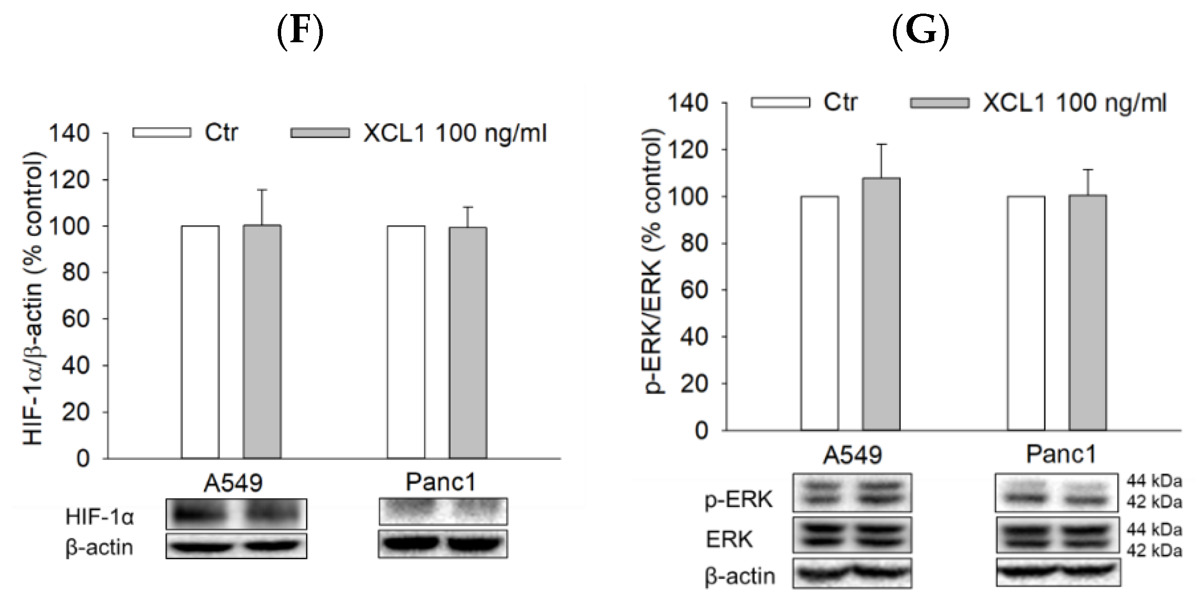 Ijms 22 00089 g008b Ijms 22 00089 g008b