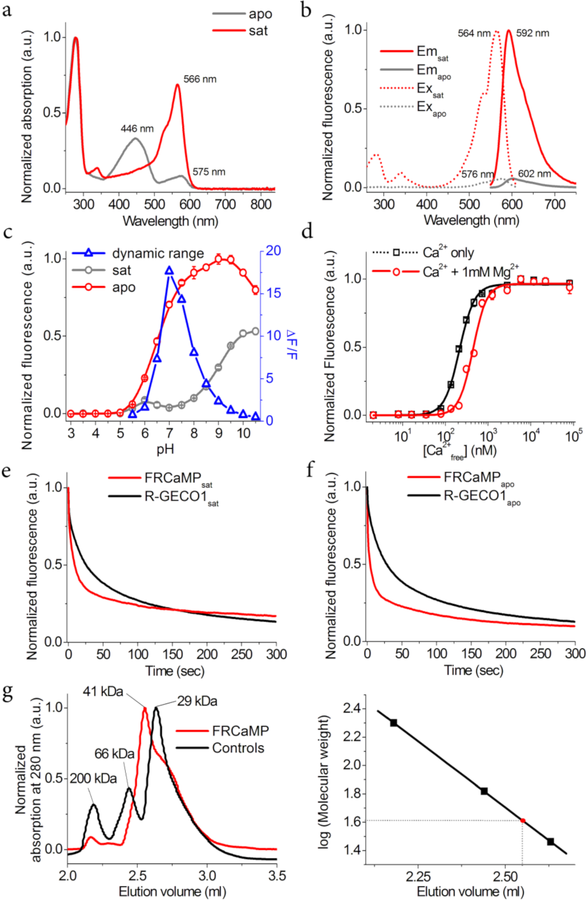 Ijms 22 00111 g002 Ijms 22 00111 g002