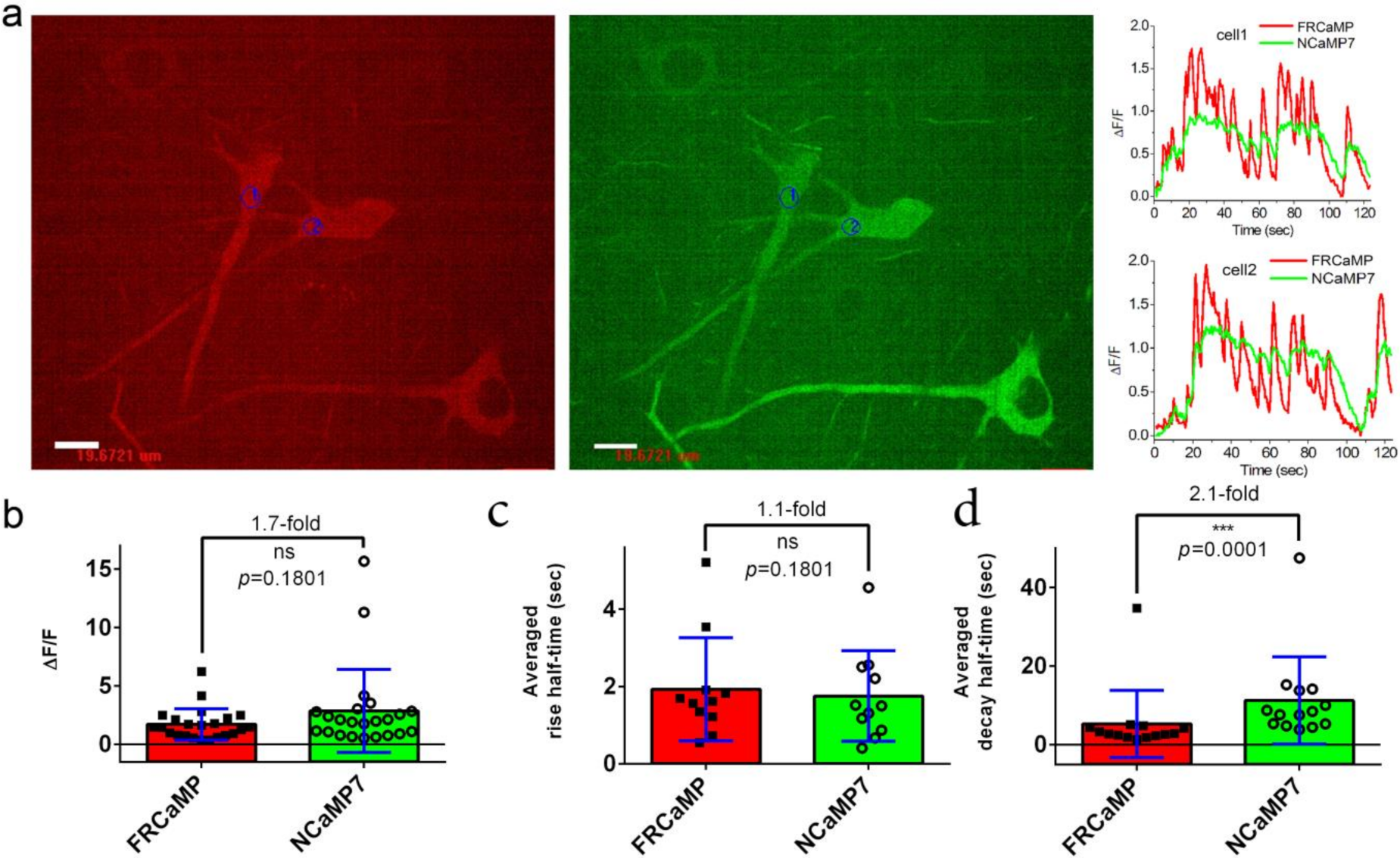 Ijms 22 00111 g004 Ijms 22 00111 g004