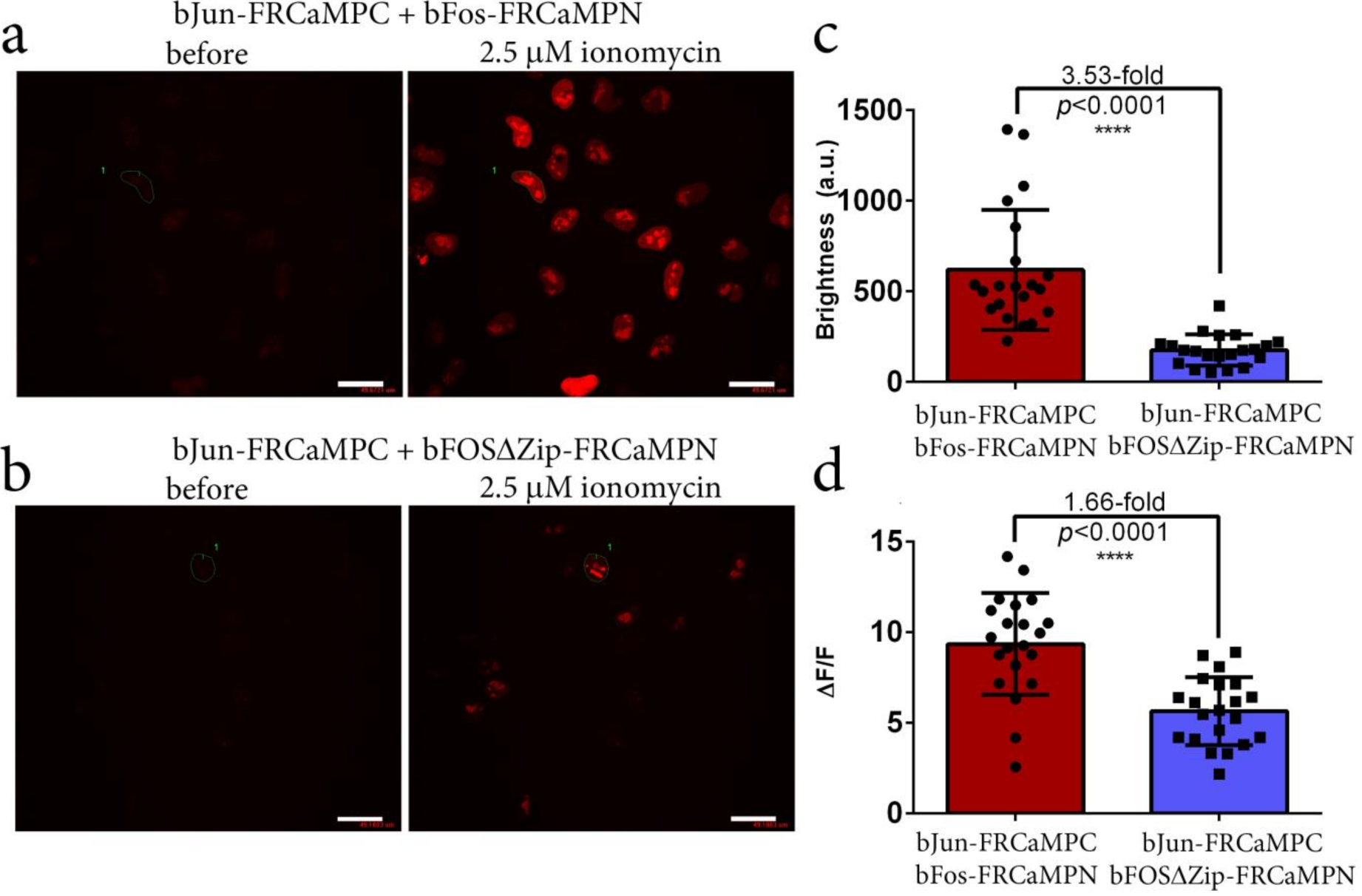 Ijms 22 00111 g007 Ijms 22 00111 g007