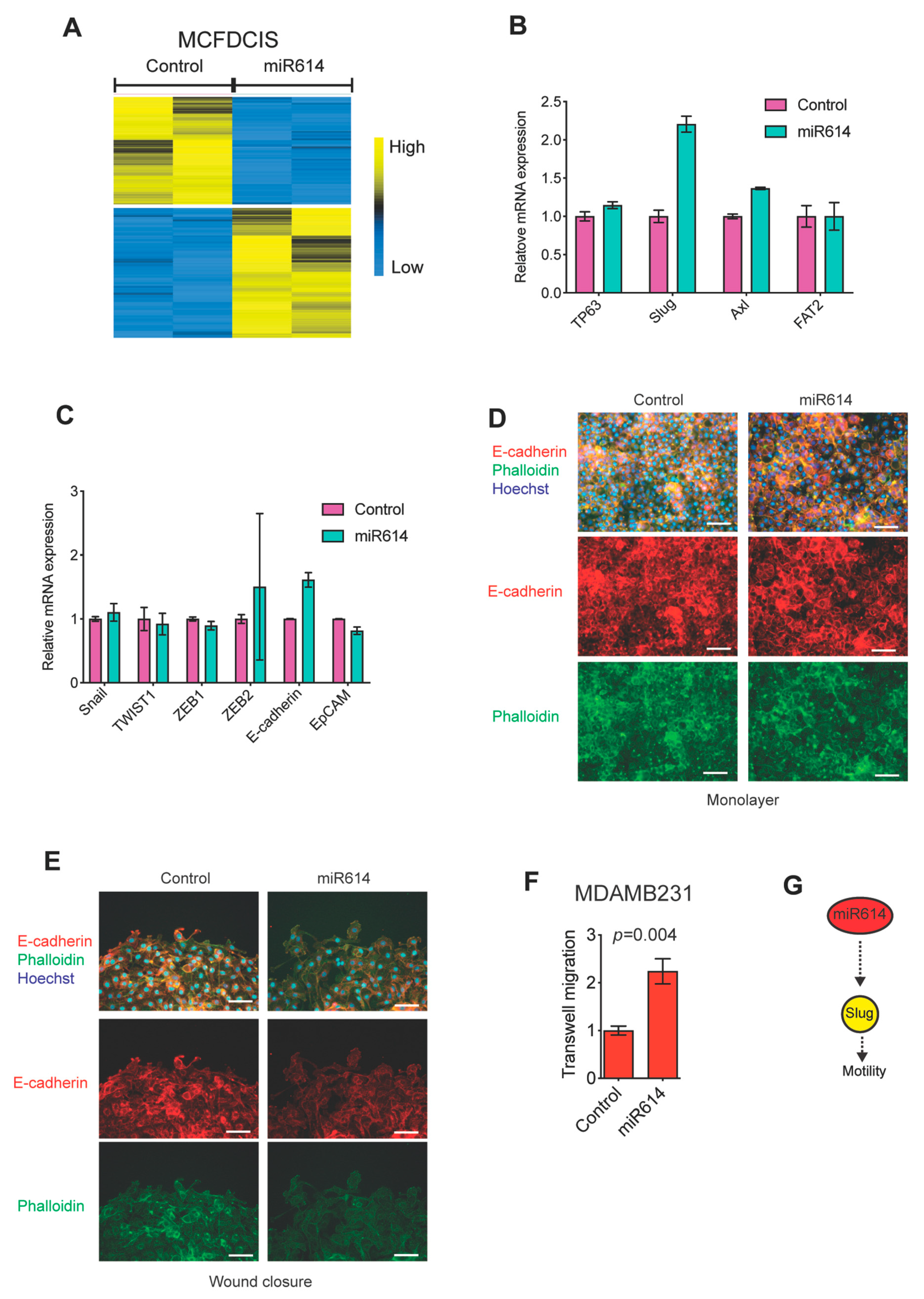 Ijms 22 00112 g002 Ijms 22 00112 g002
