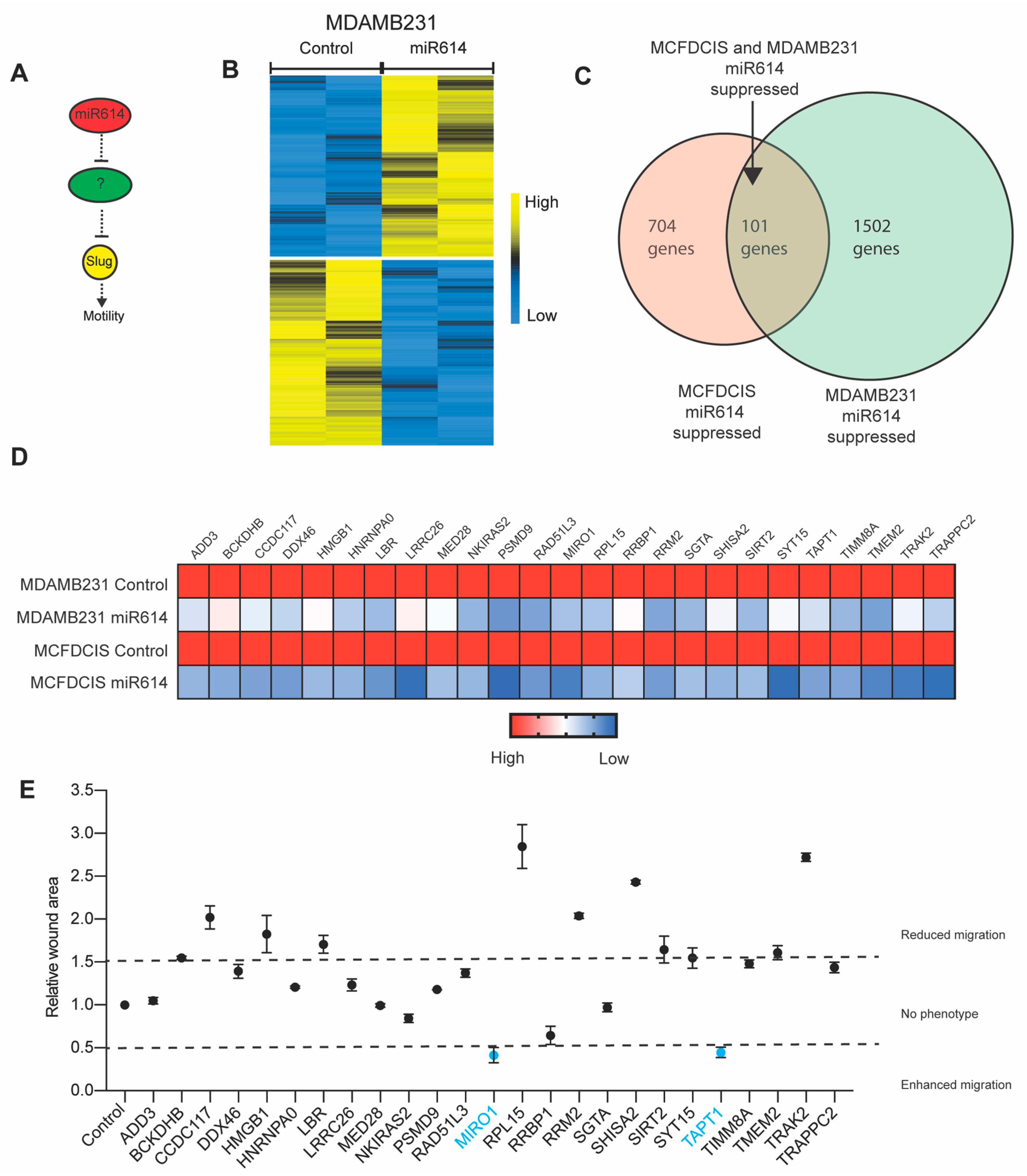 Ijms 22 00112 g003 Ijms 22 00112 g003