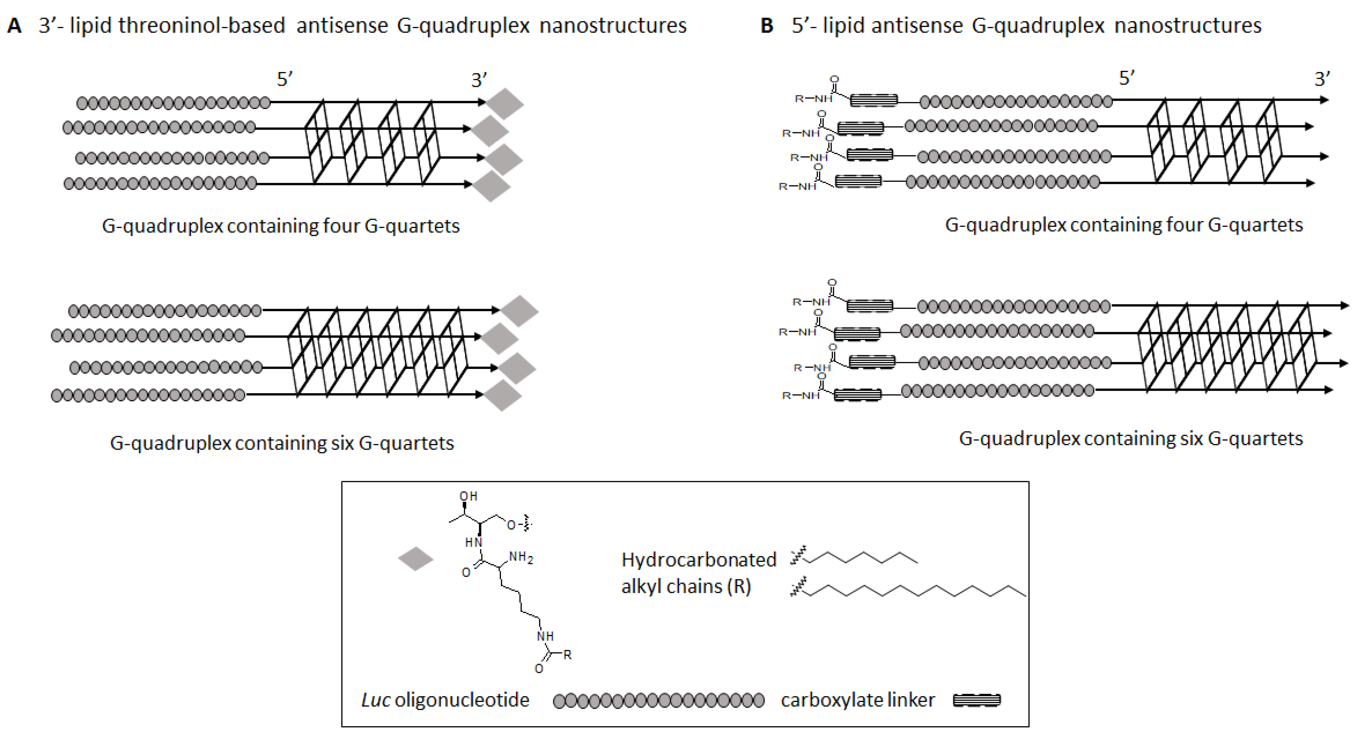 Ijms 22 00121 g001 Ijms 22 00121 g001