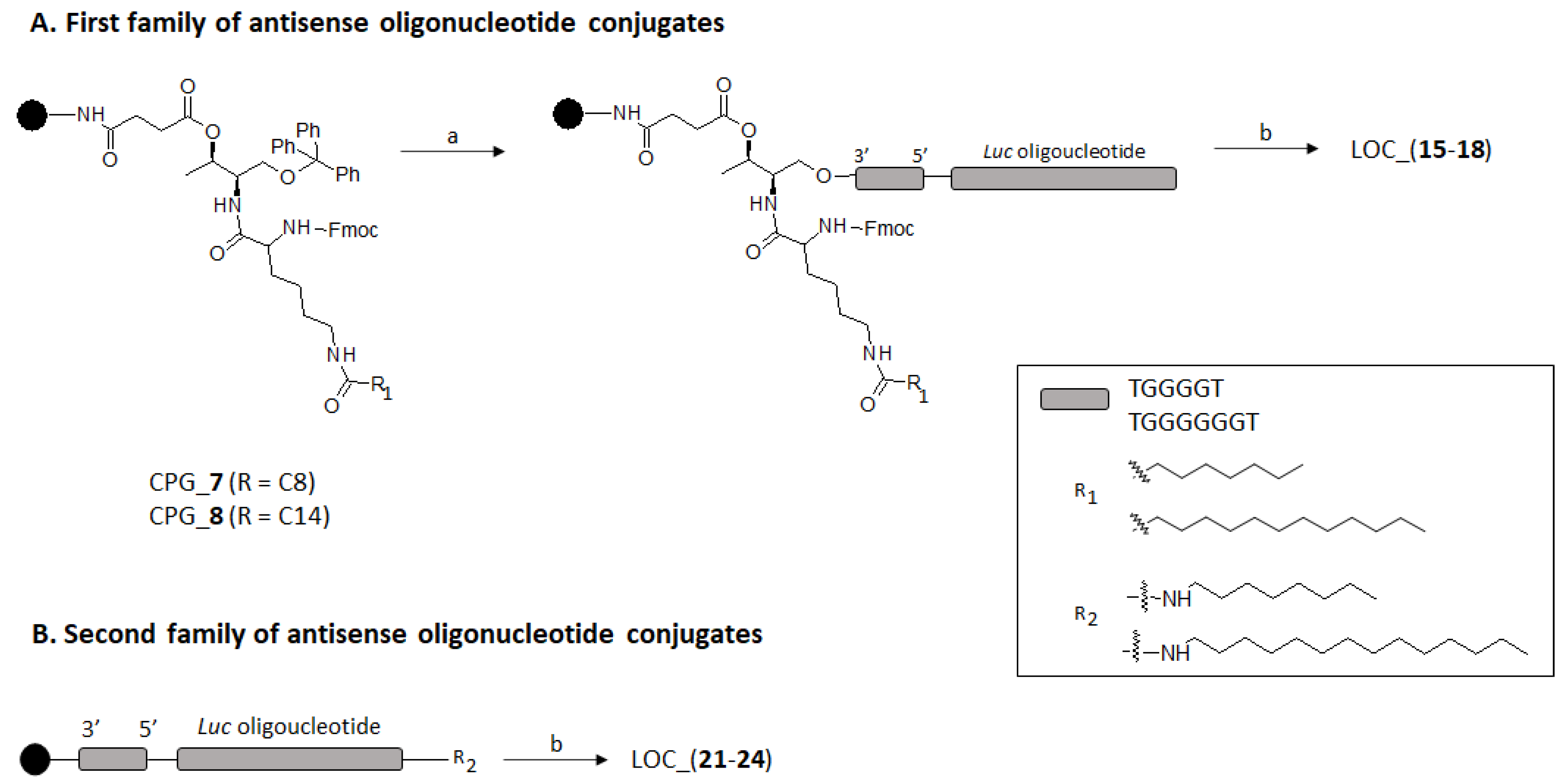 Ijms 22 00121 g003 Ijms 22 00121 g003
