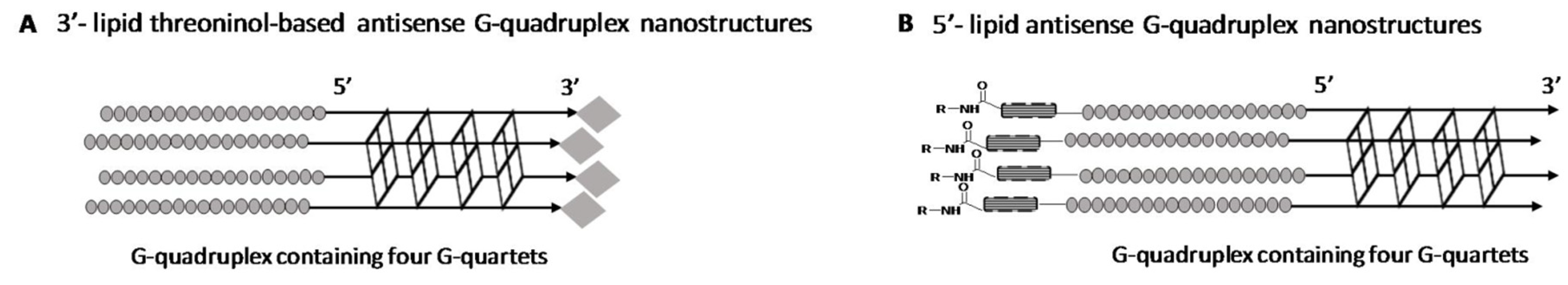 Ijms 22 00121 g004 Ijms 22 00121 g004