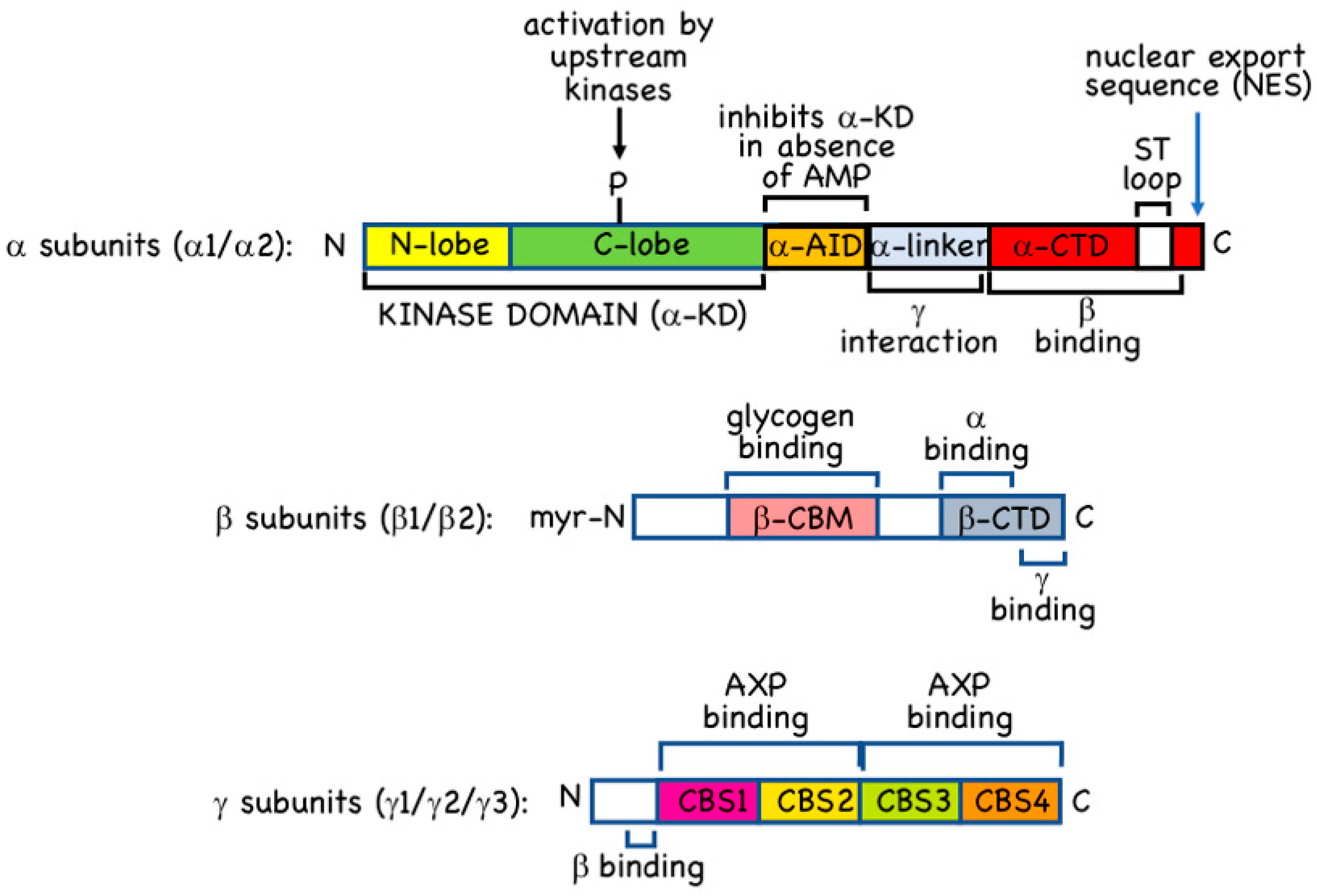Ijms 22 00186 g001