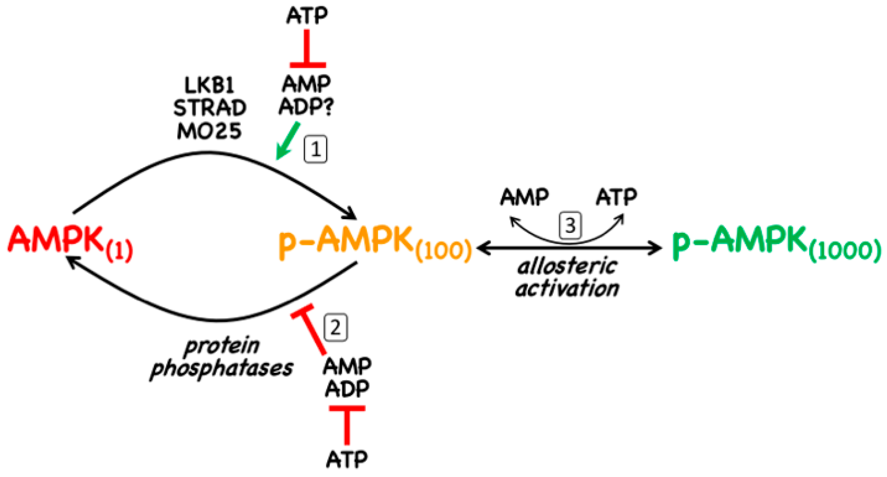Ijms 22 00186 g002