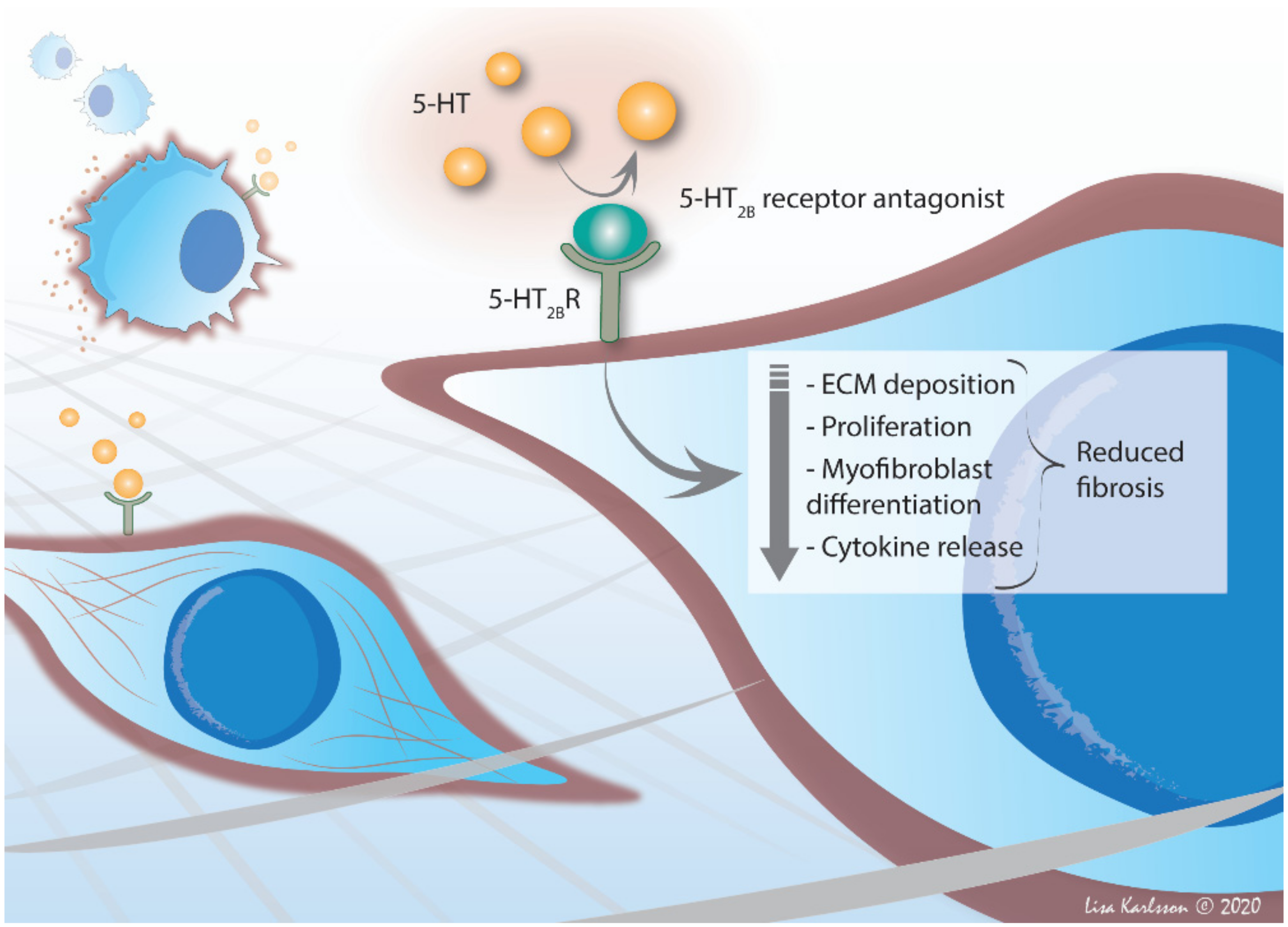 Ijms 22 00225 g003 Ijms 22 00225 g003