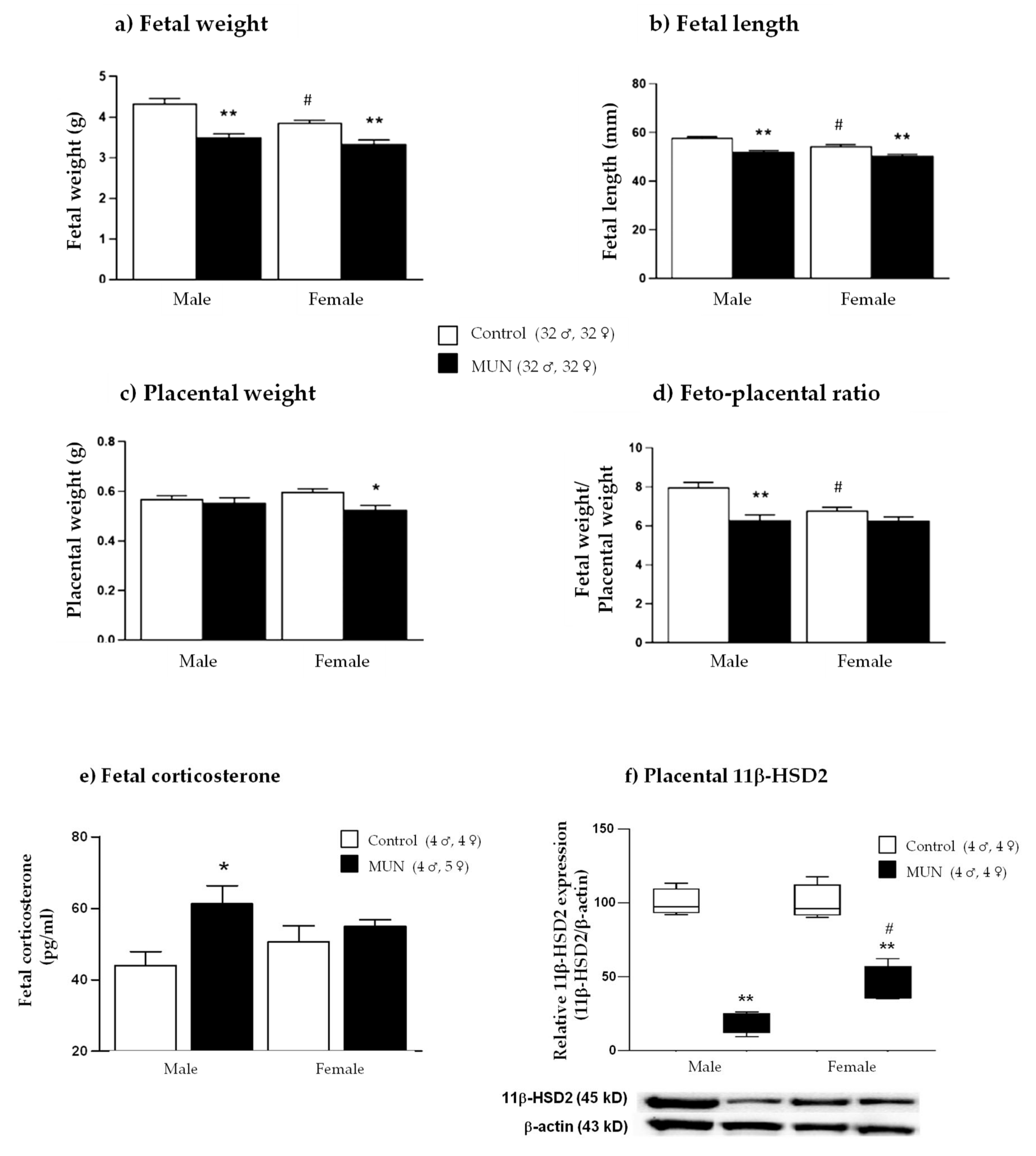 Ijms 22 00237 g004 Ijms 22 00237 g004