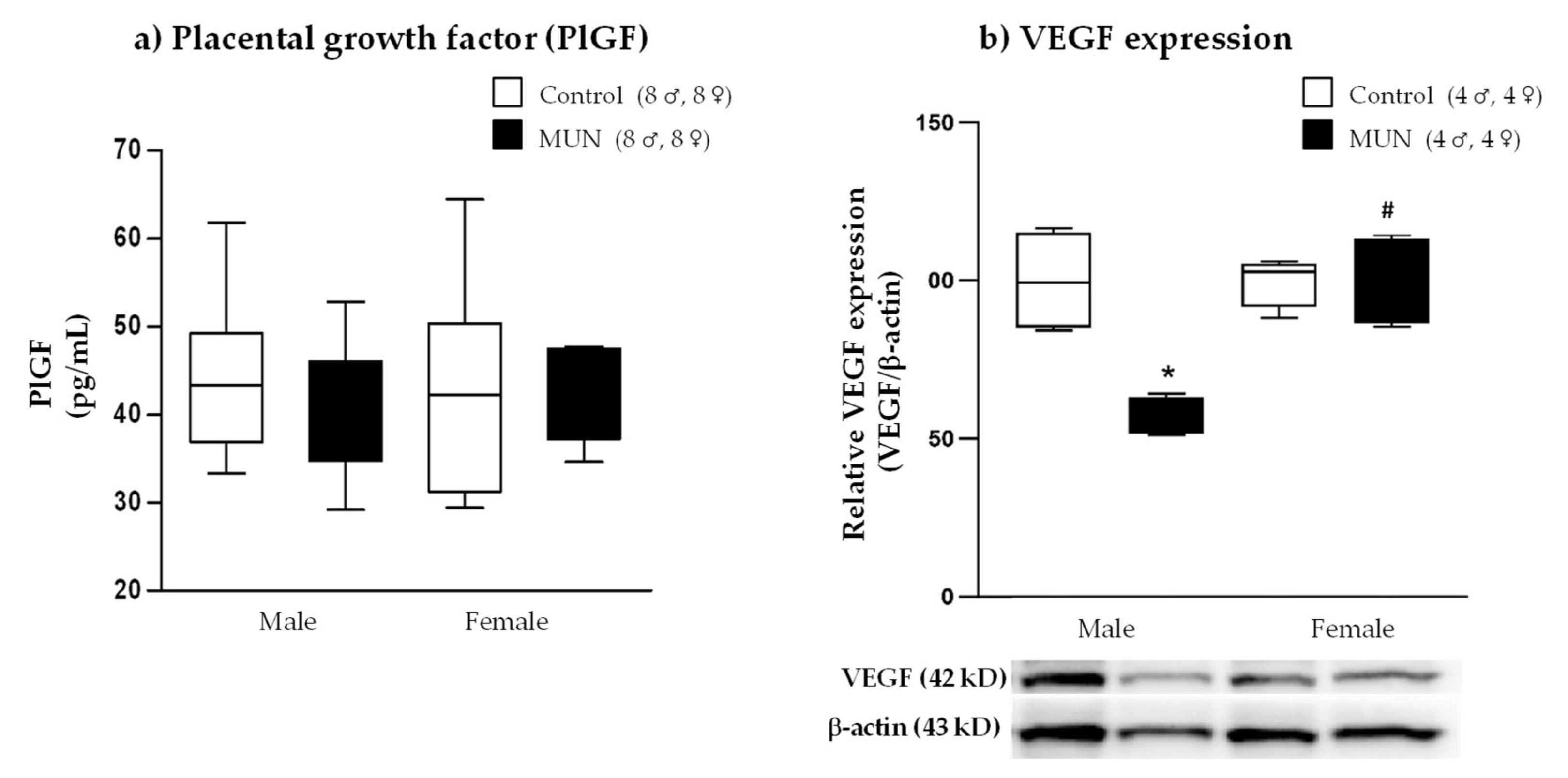 Ijms 22 00237 g005 Ijms 22 00237 g005