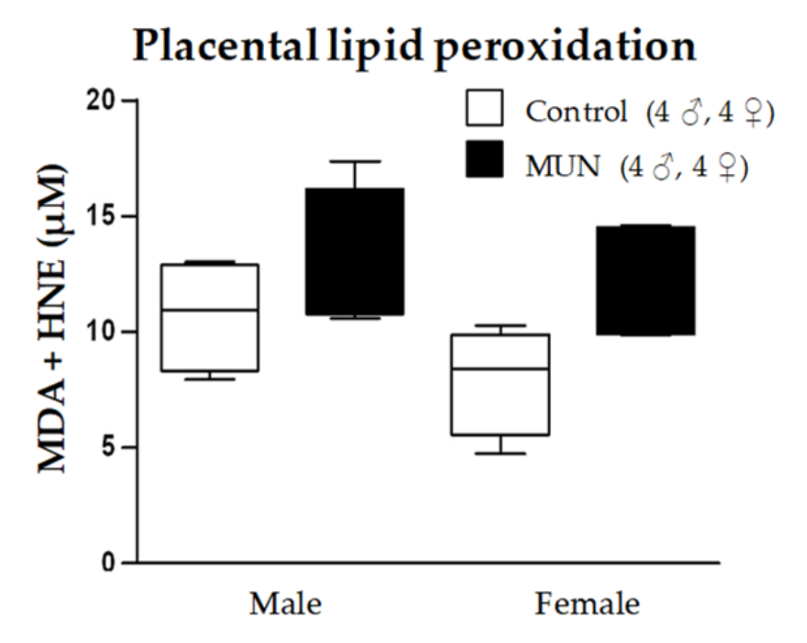 Ijms 22 00237 g006 Ijms 22 00237 g006