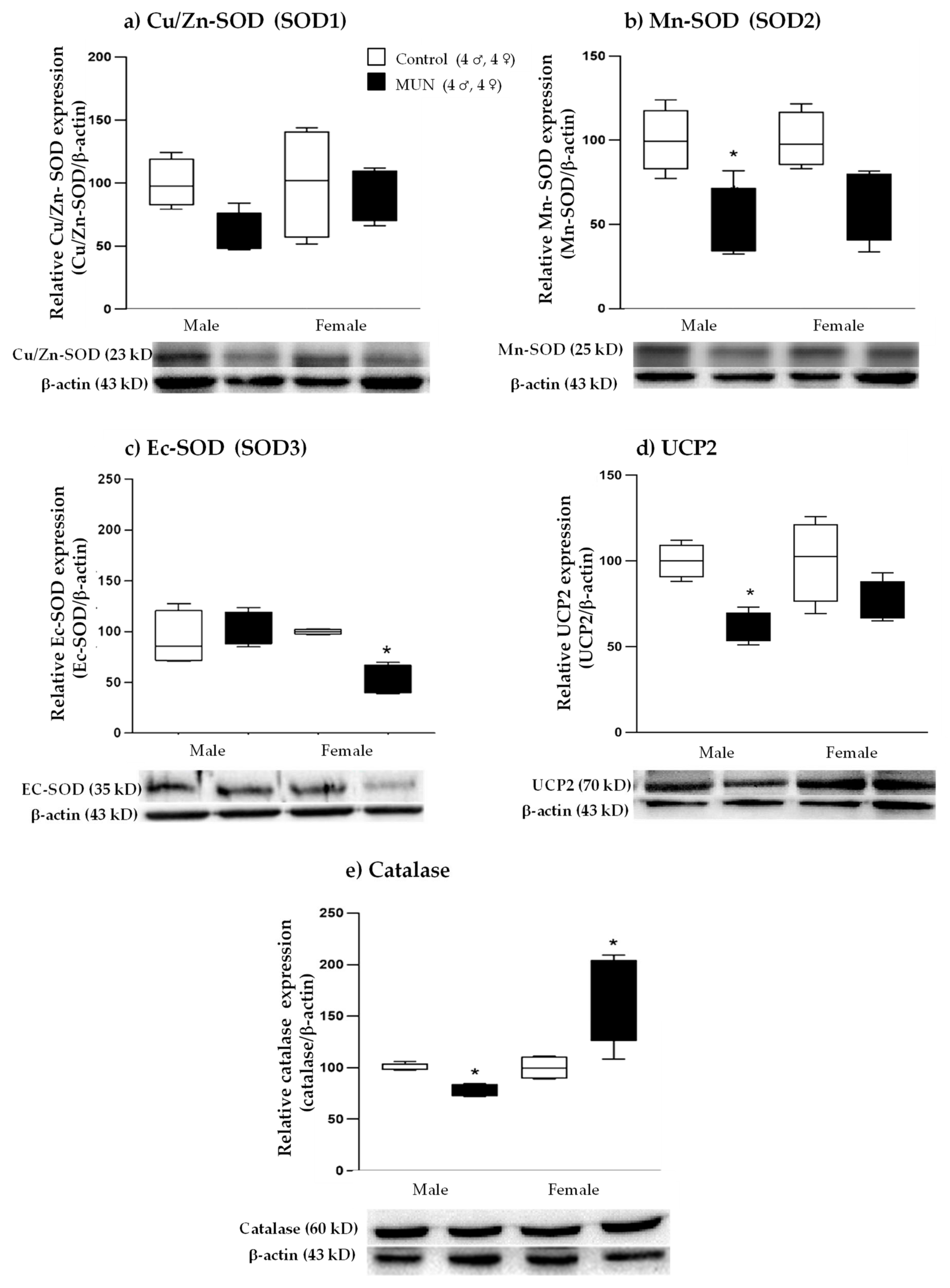 Ijms 22 00237 g008 Ijms 22 00237 g008