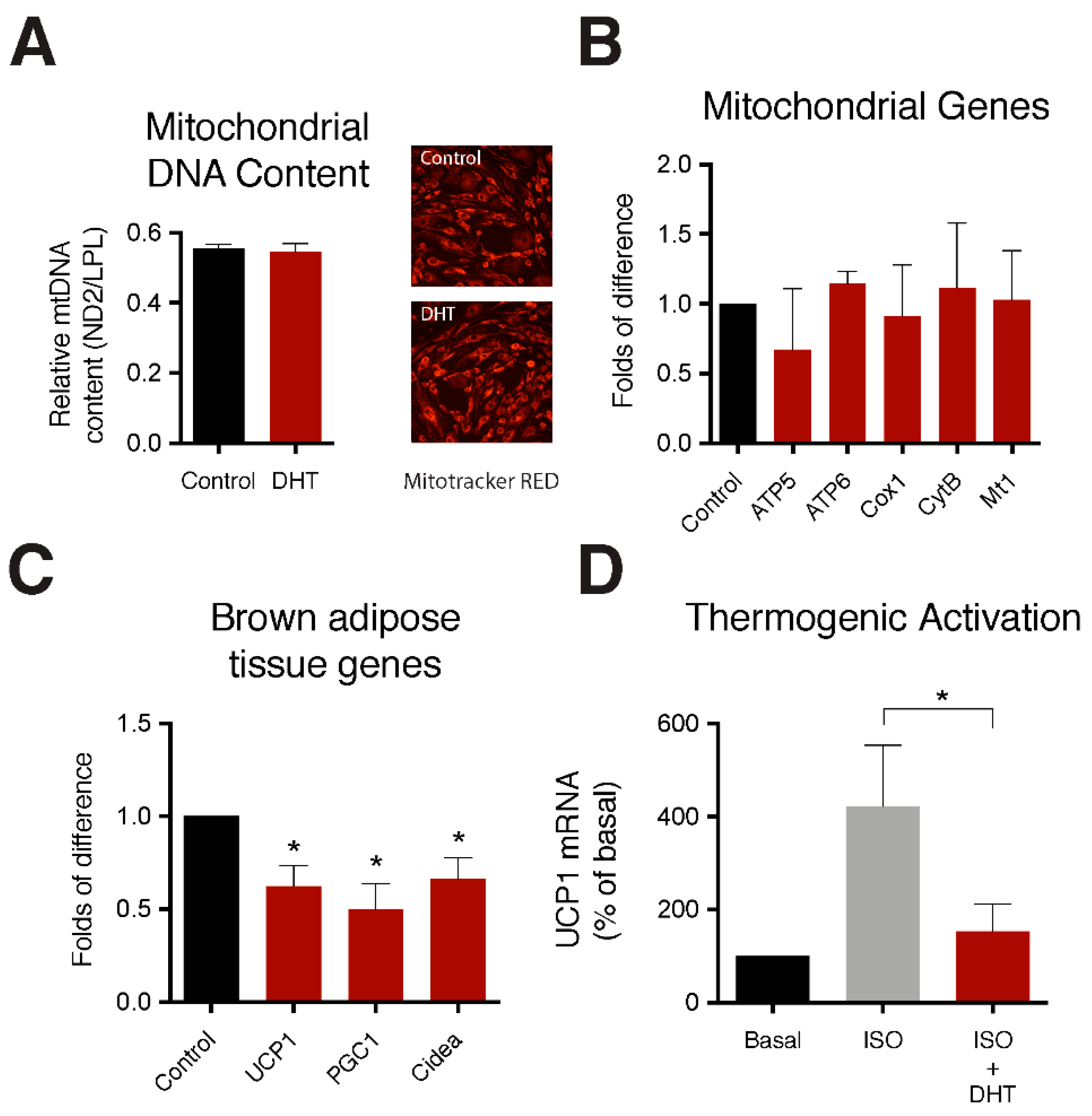 Ijms 22 00243 g003 Ijms 22 00243 g003