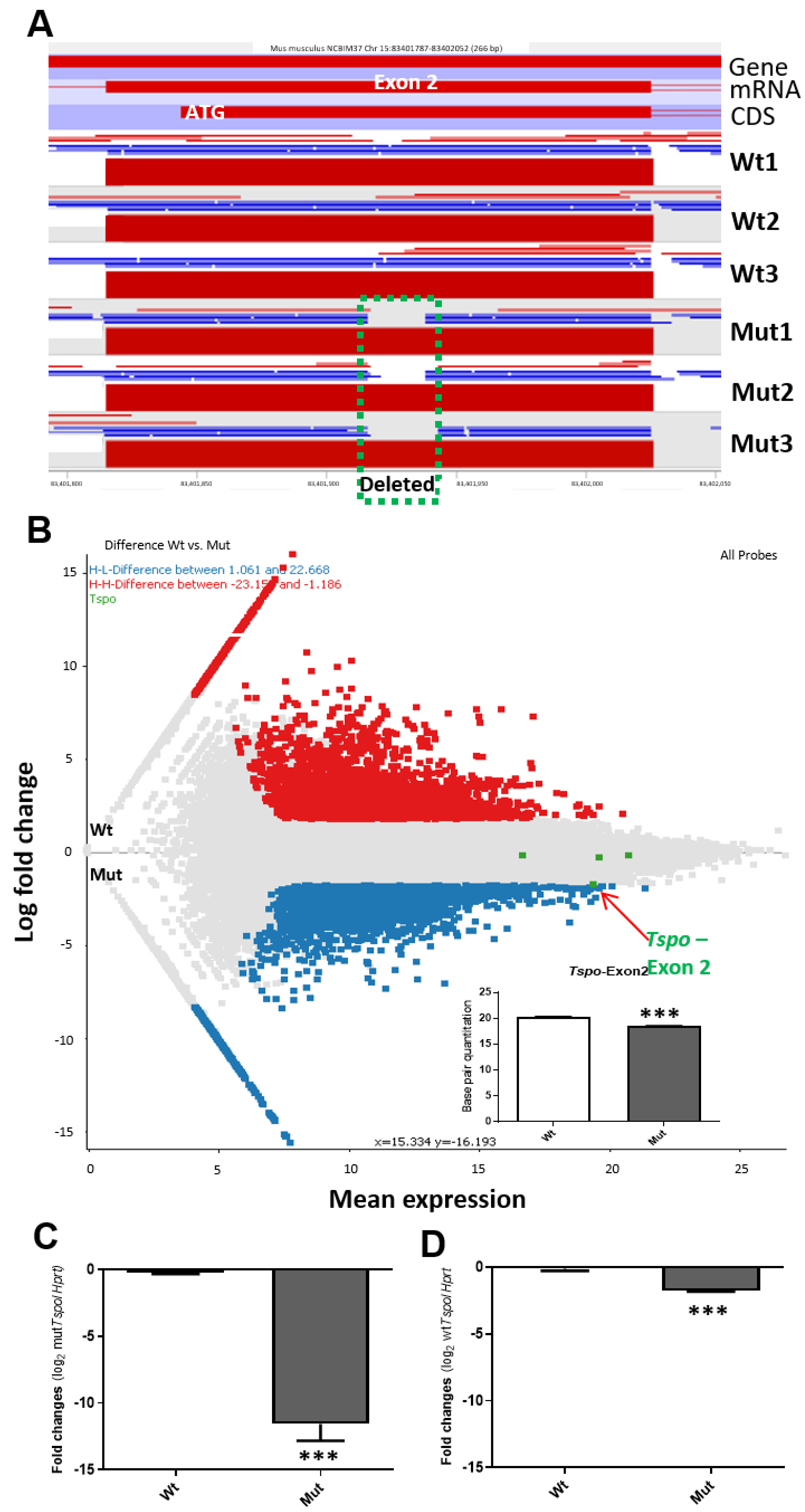 Ijms 22 00252 g001 Ijms 22 00252 g001