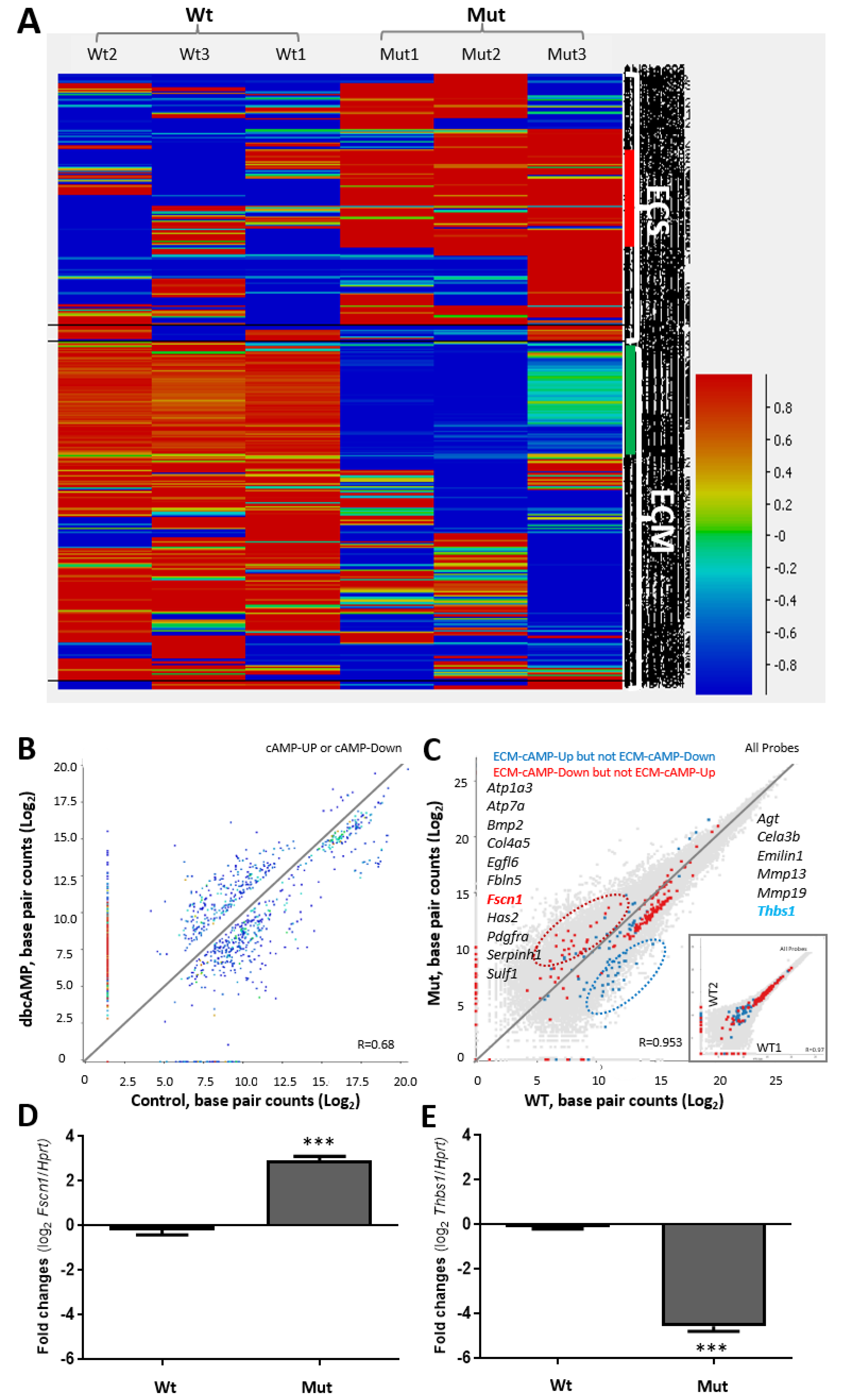Ijms 22 00252 g003 Ijms 22 00252 g003