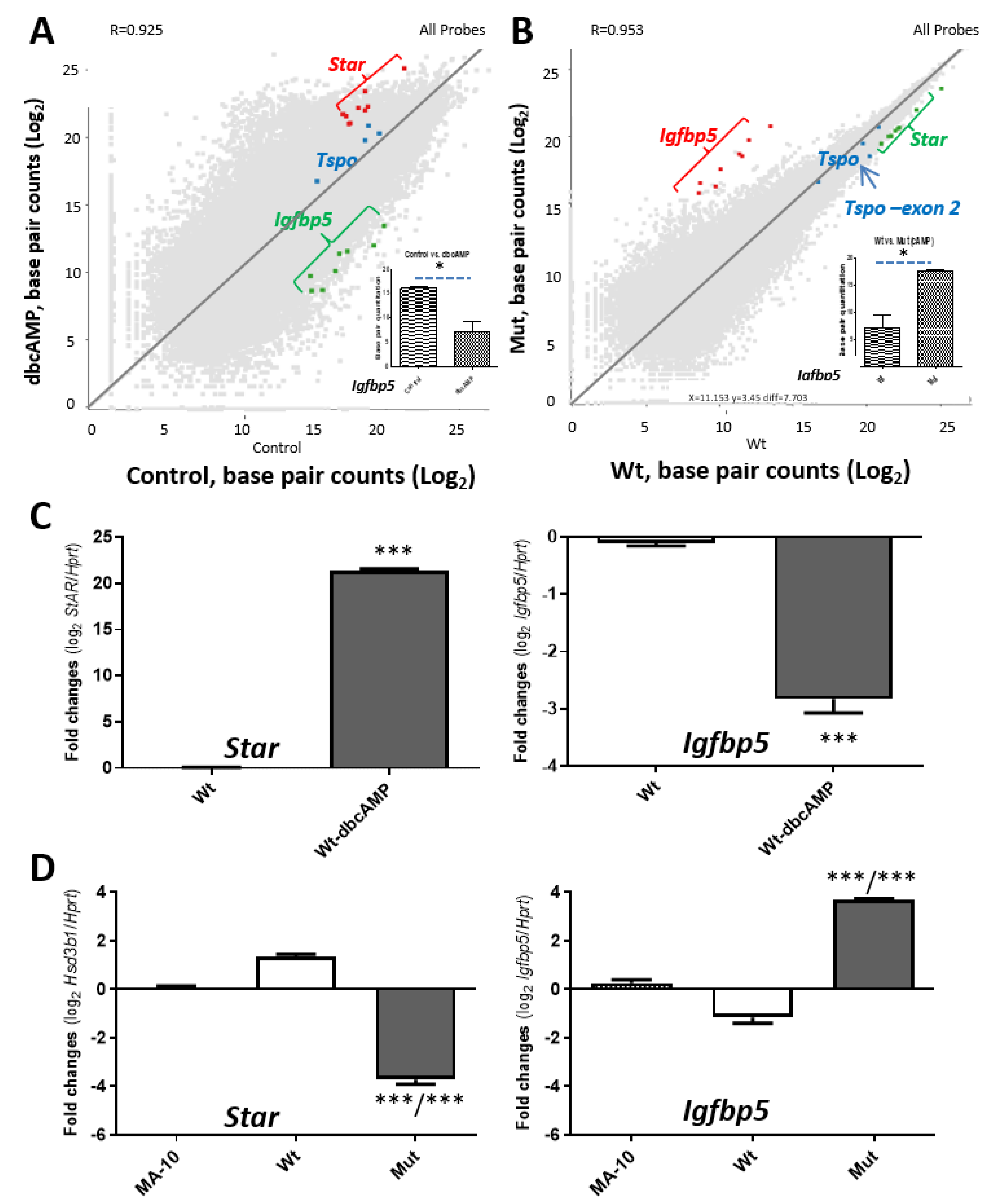Ijms 22 00252 g004 Ijms 22 00252 g004
