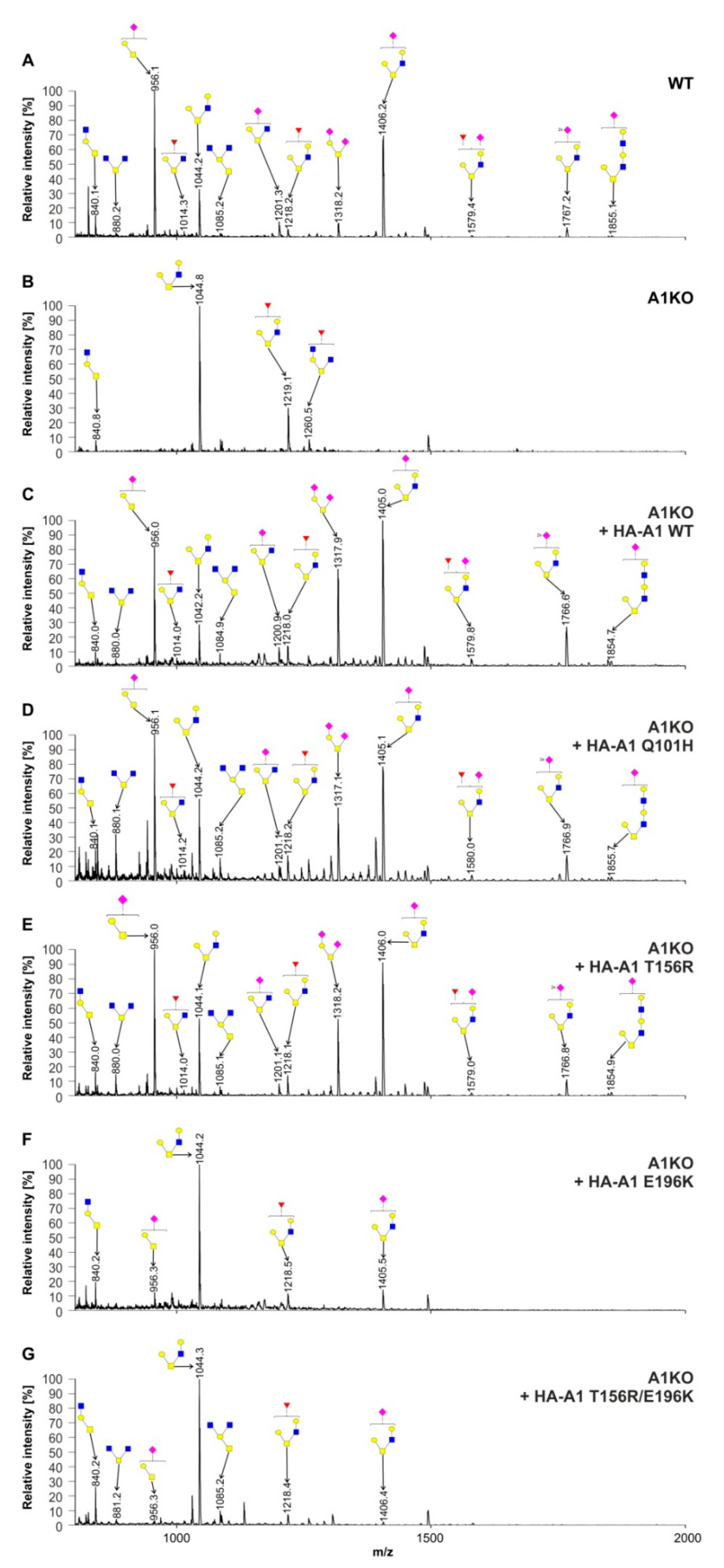 Ijms 22 00304 g008 Ijms 22 00304 g008
