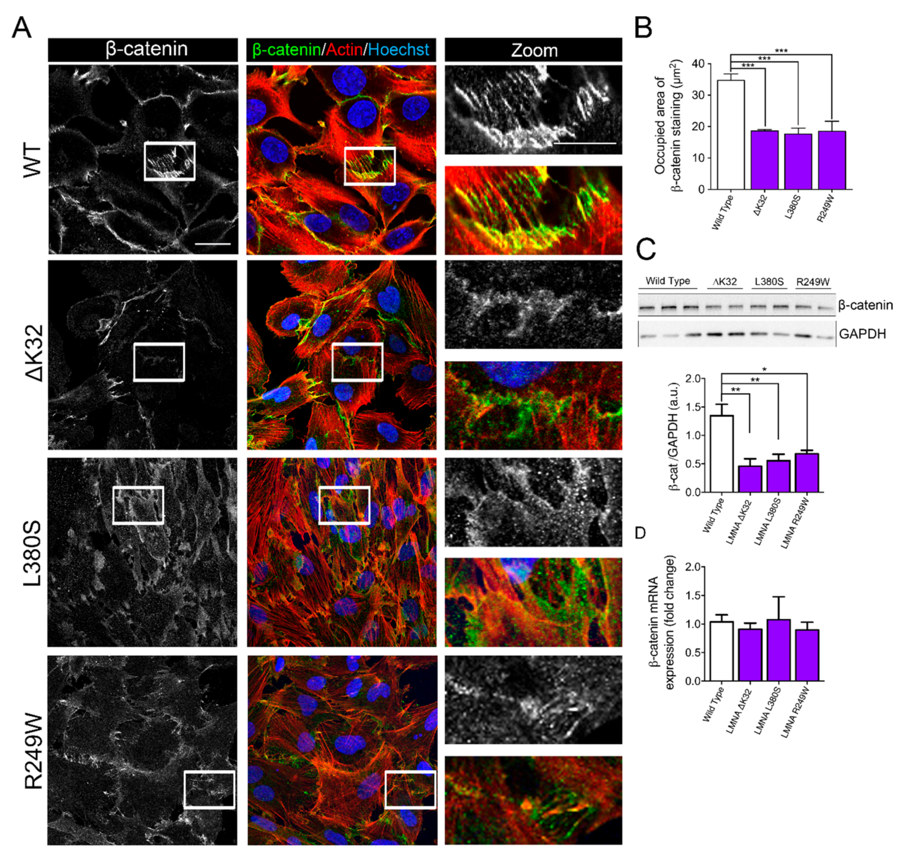 Ijms 22 00306 g003 Ijms 22 00306 g003
