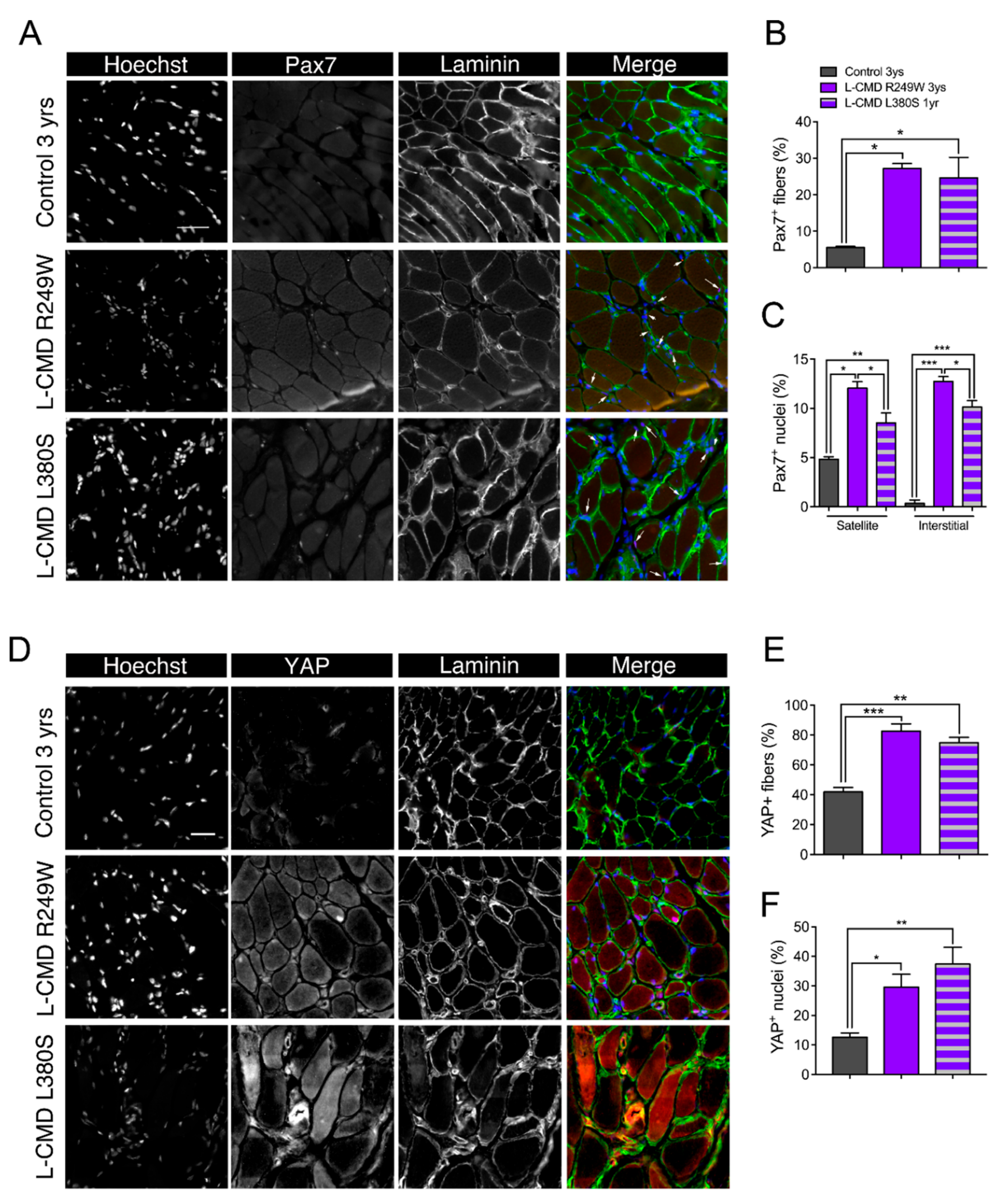 Ijms 22 00306 g008 Ijms 22 00306 g008