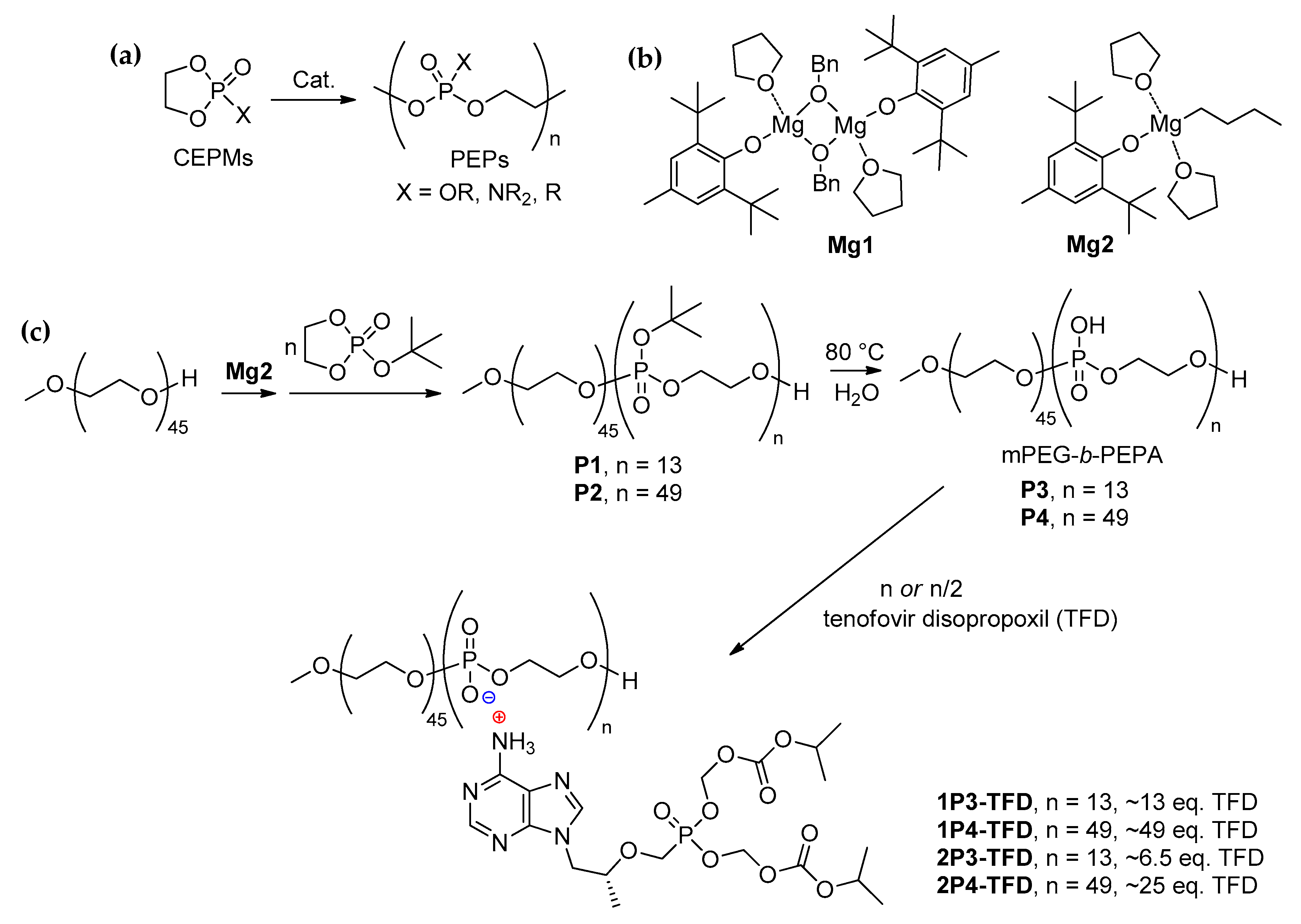 Ijms 22 00340 sch001