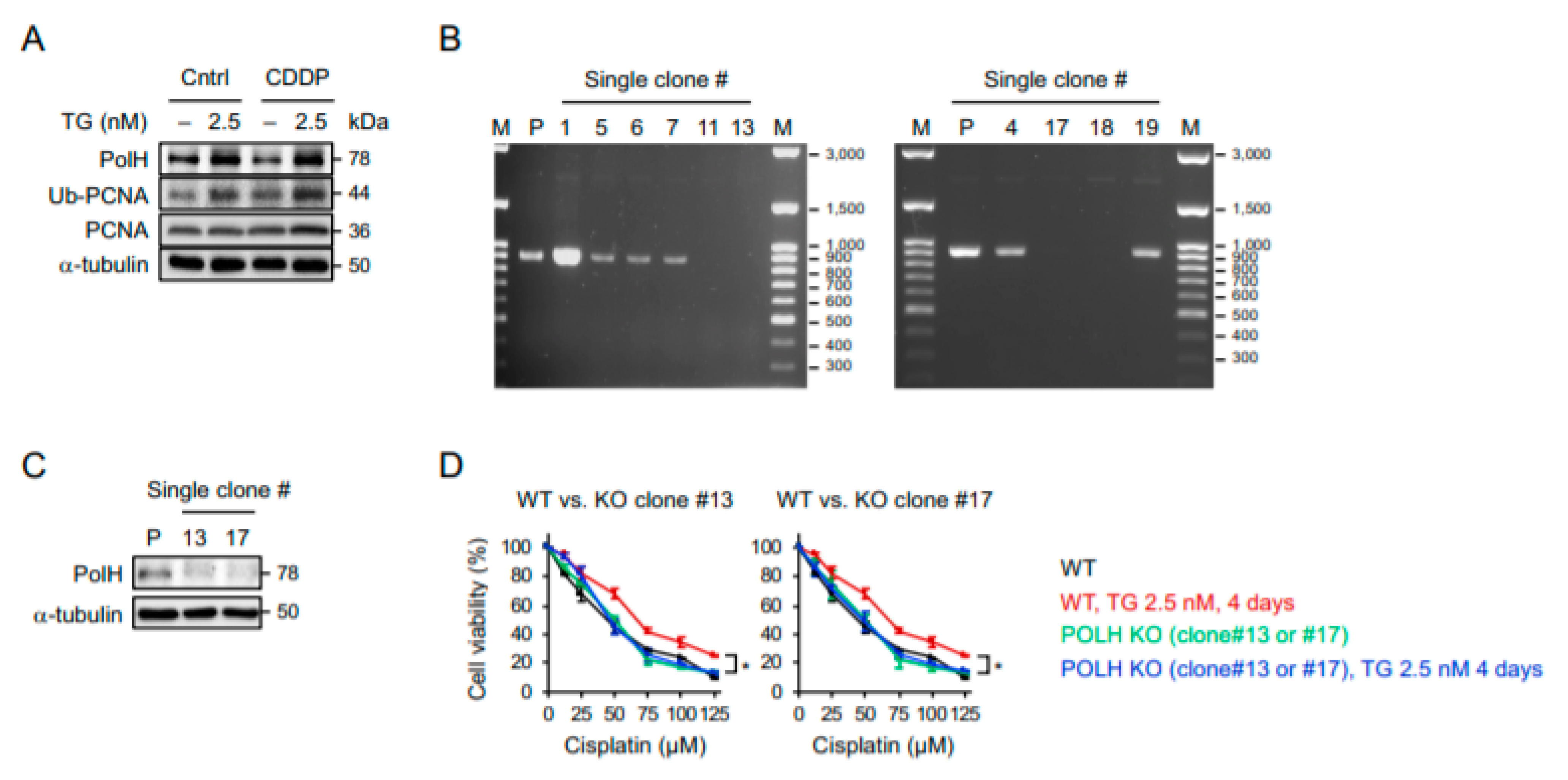 Ijms 22 00355 g005 Ijms 22 00355 g005