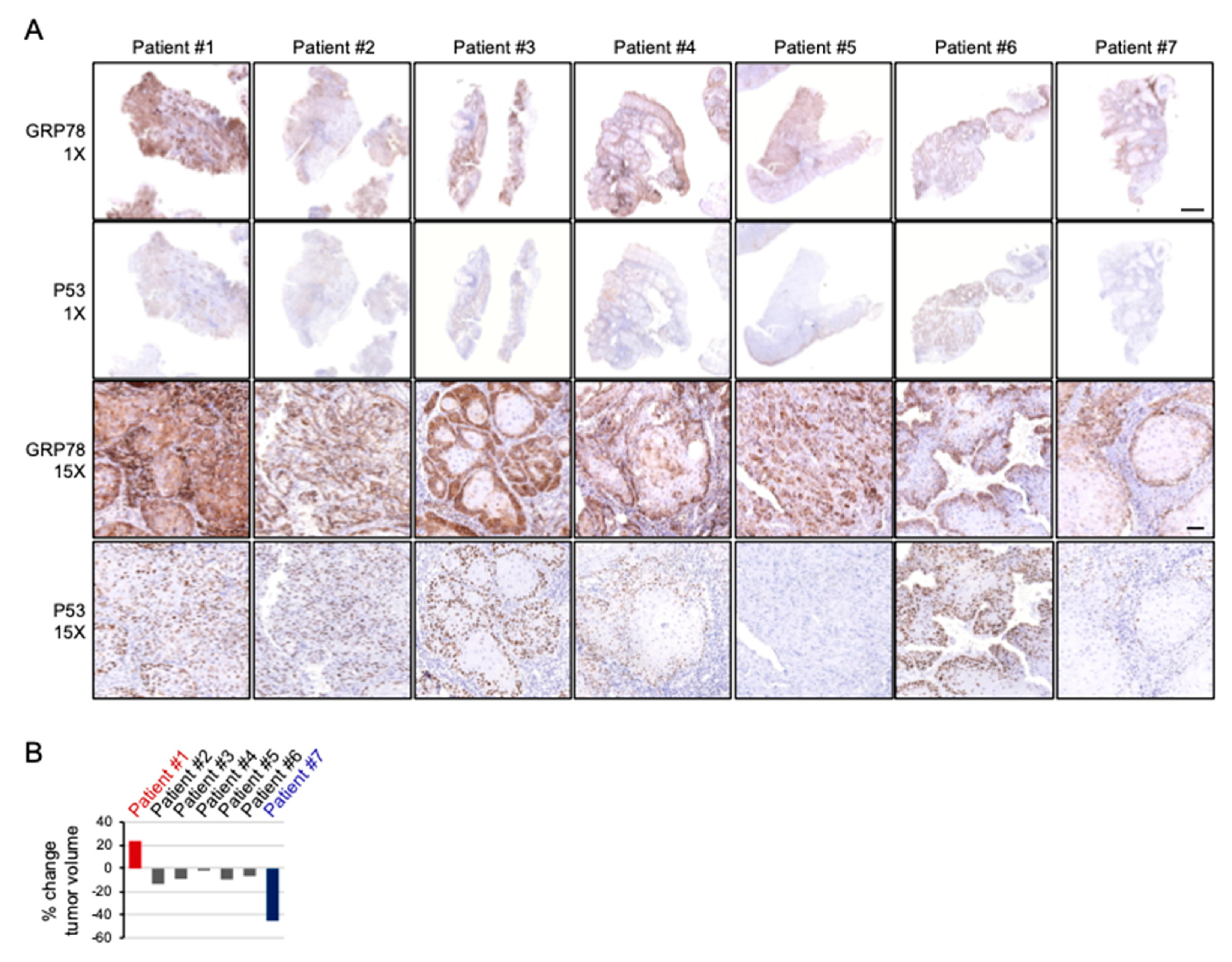 Ijms 22 00355 g007 Ijms 22 00355 g007