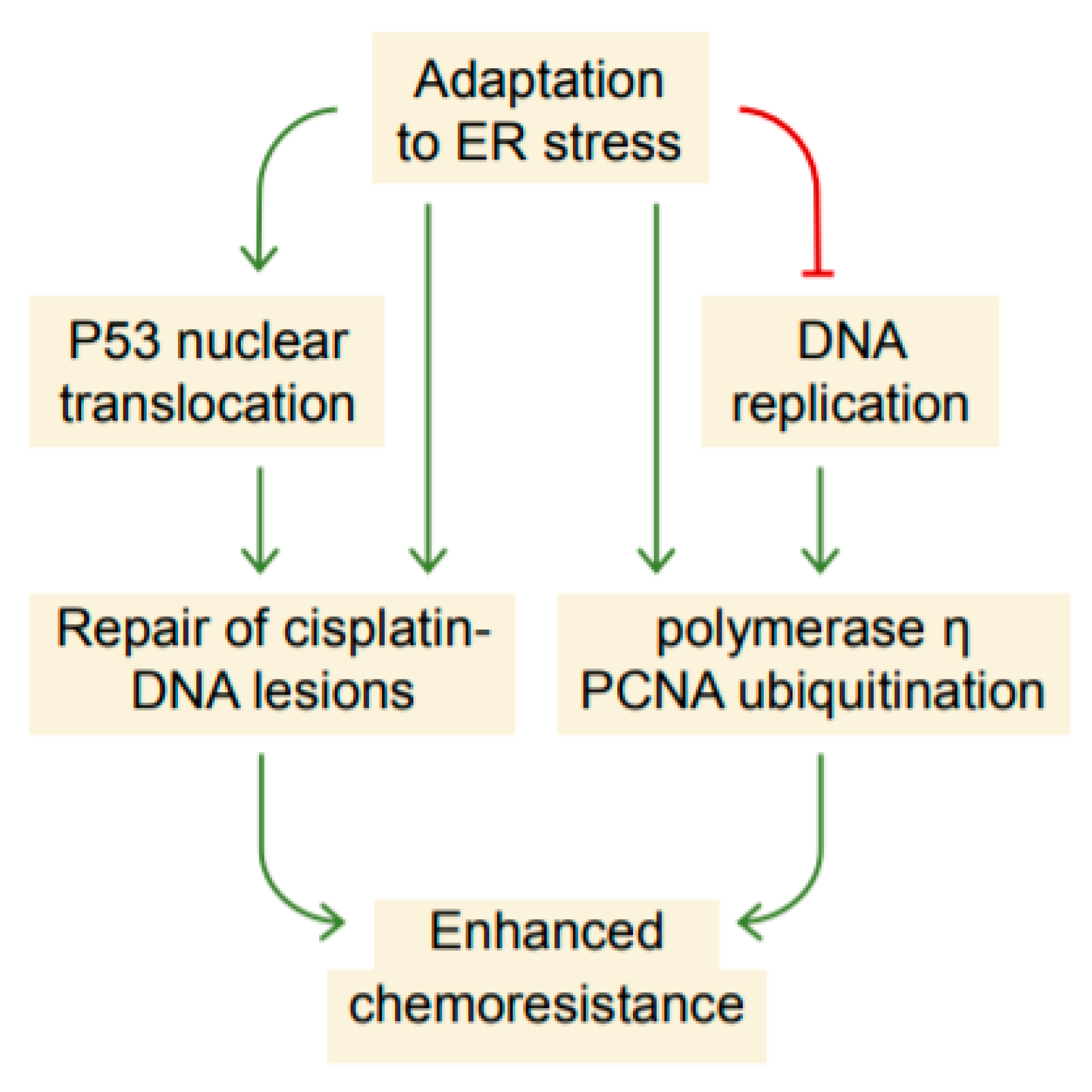 Ijms 22 00355 g008 Ijms 22 00355 g008