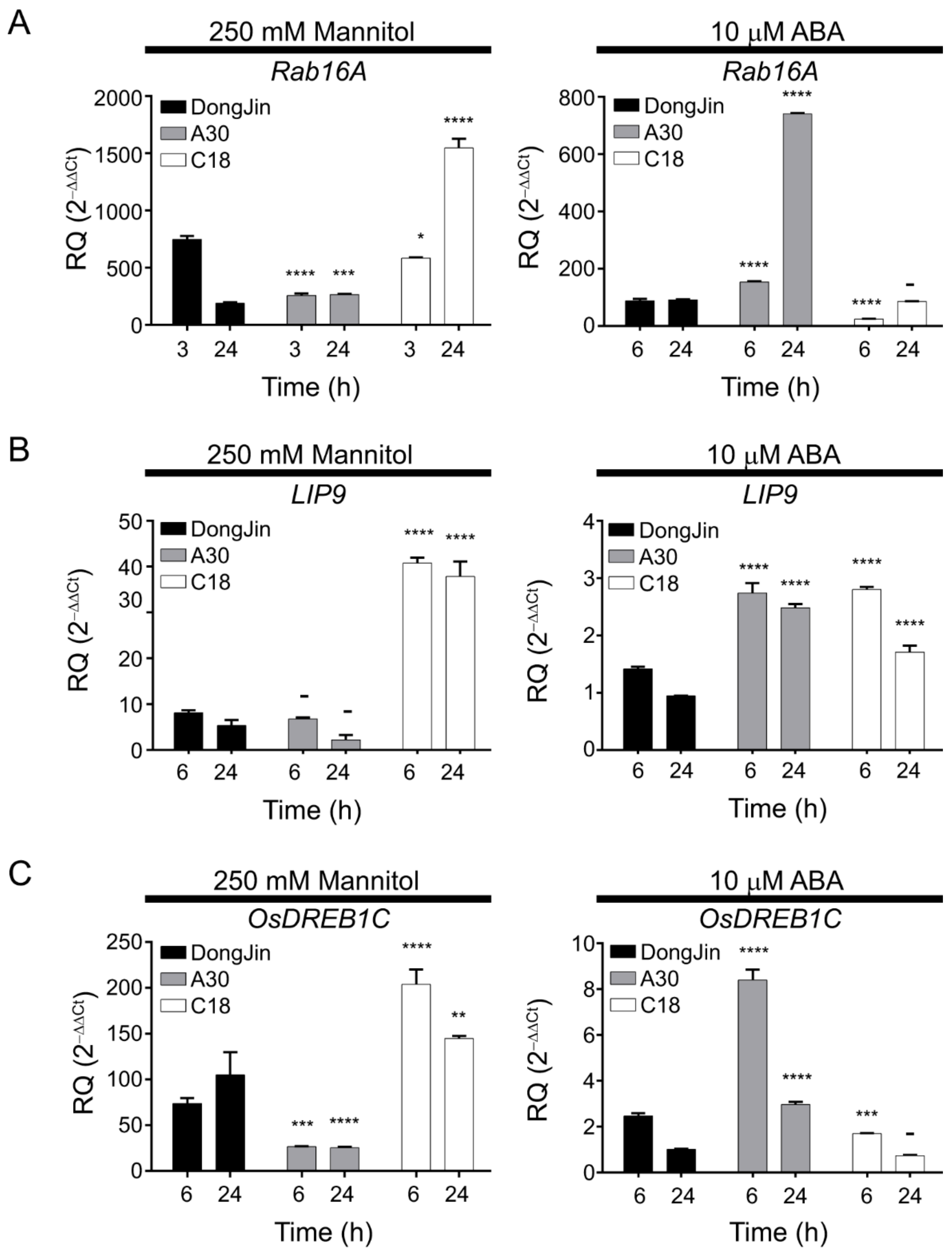 Ijms 22 00393 g006 Ijms 22 00393 g006