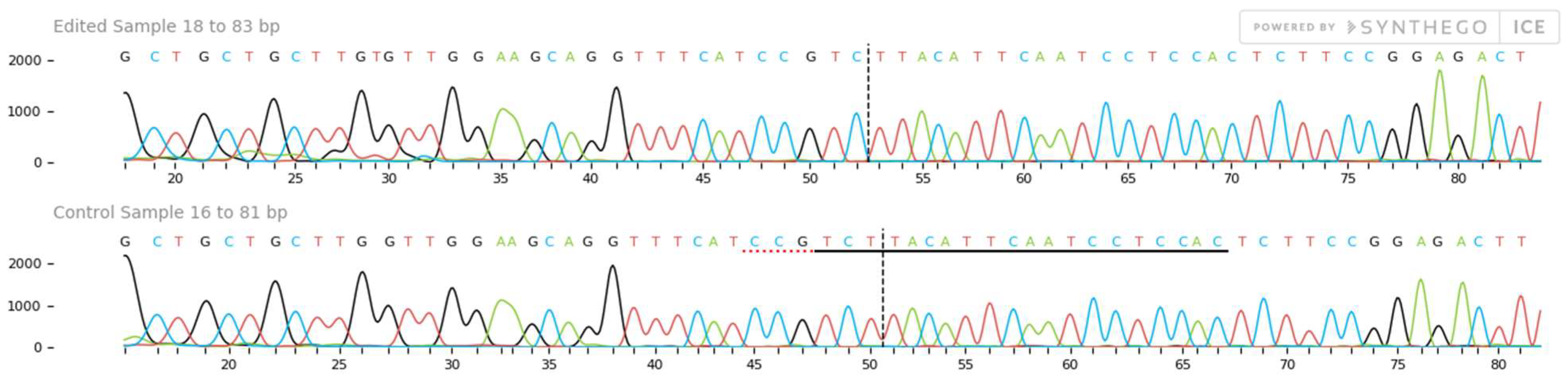 Ijms 22 00396 g006 Ijms 22 00396 g006