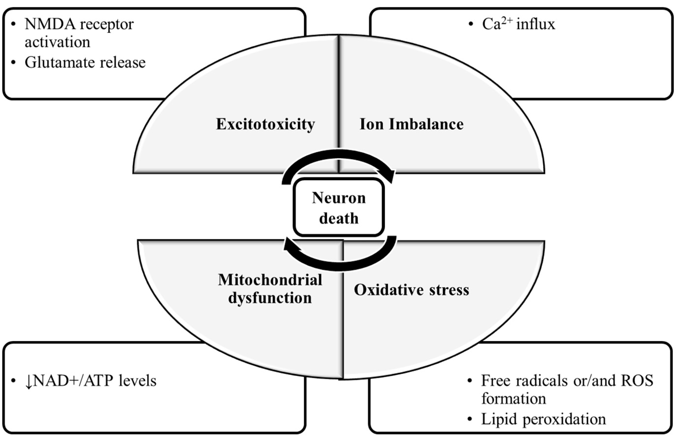 Ijms 22 00403 g001 Ijms 22 00403 g001