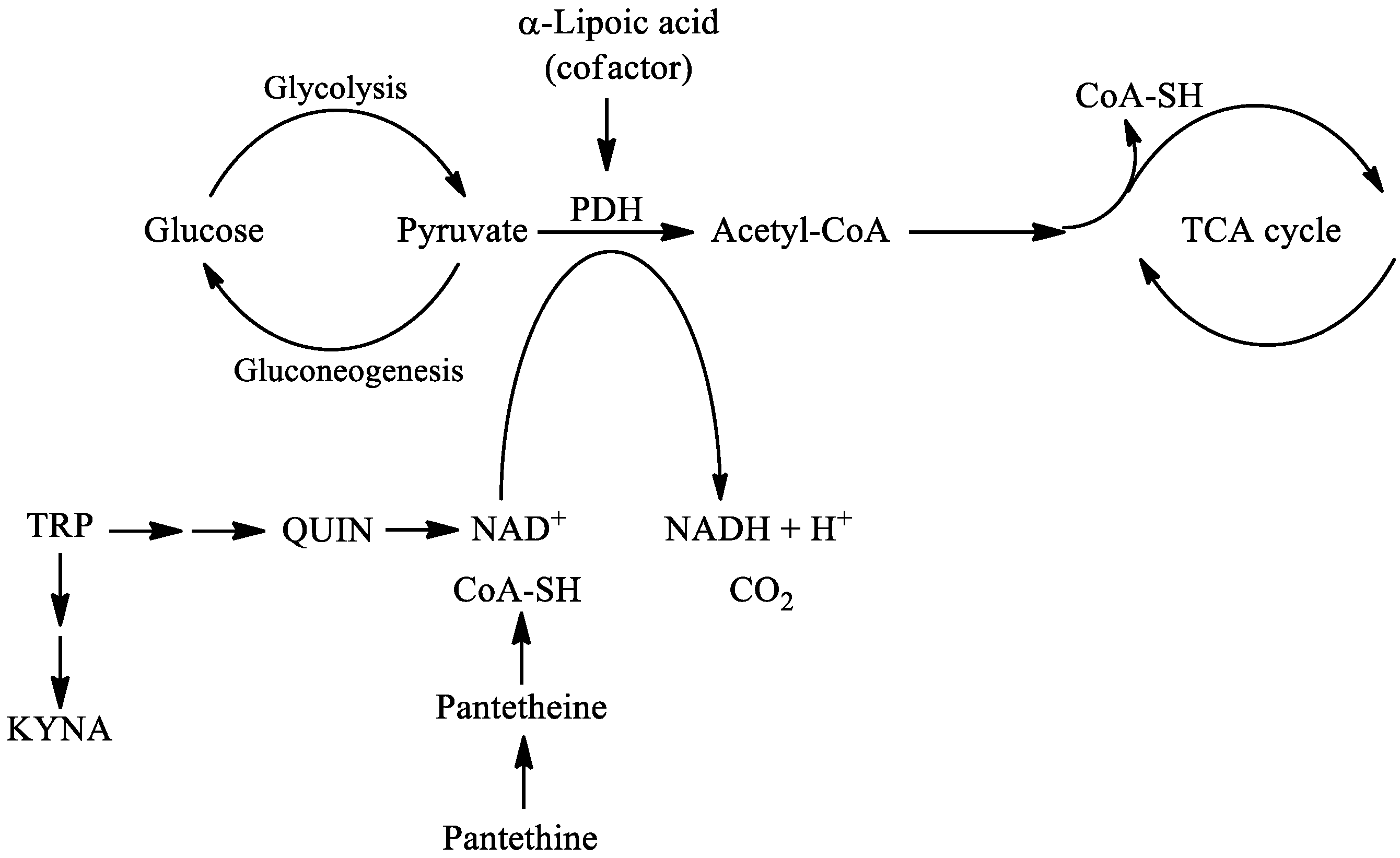 Ijms 22 00403 g002 Ijms 22 00403 g002