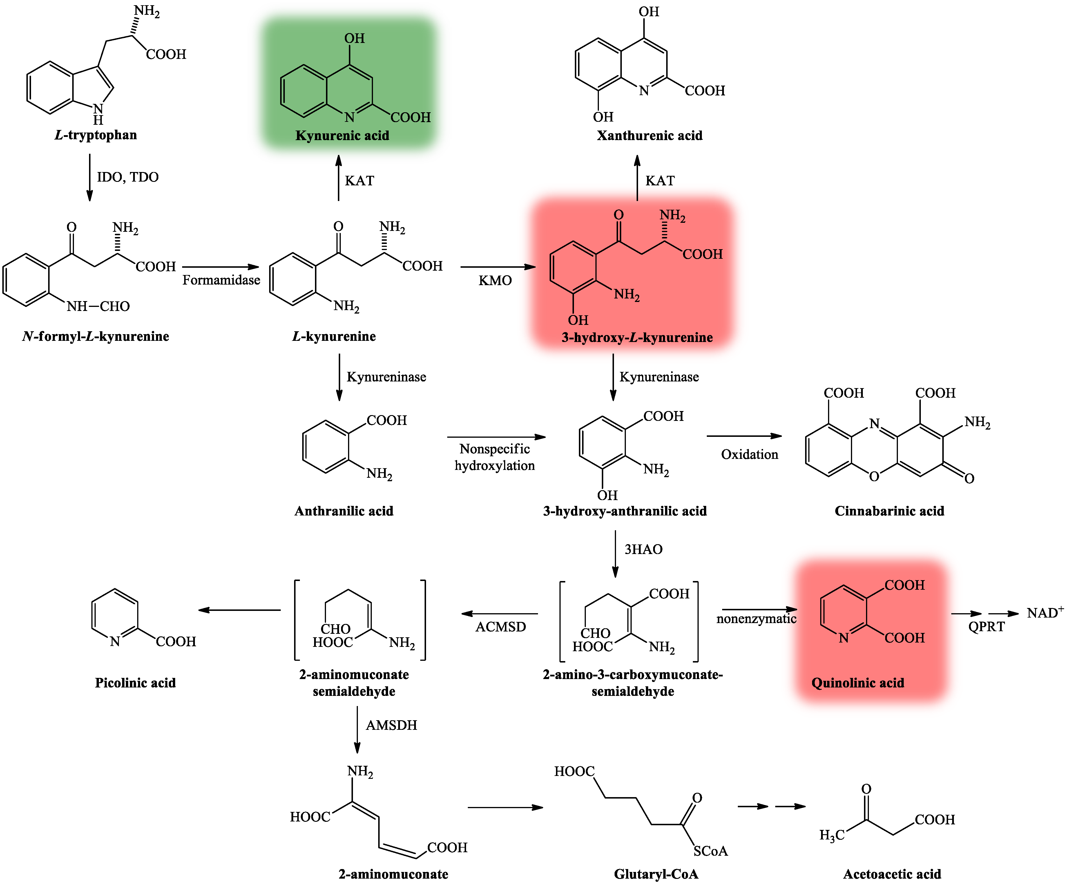 Ijms 22 00403 g003 Ijms 22 00403 g003