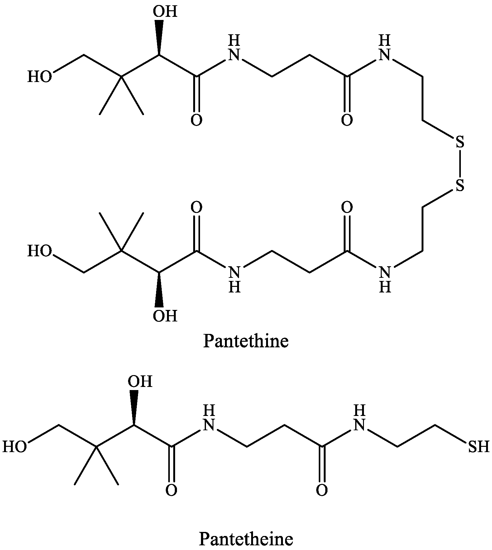 Ijms 22 00403 g005 Ijms 22 00403 g005