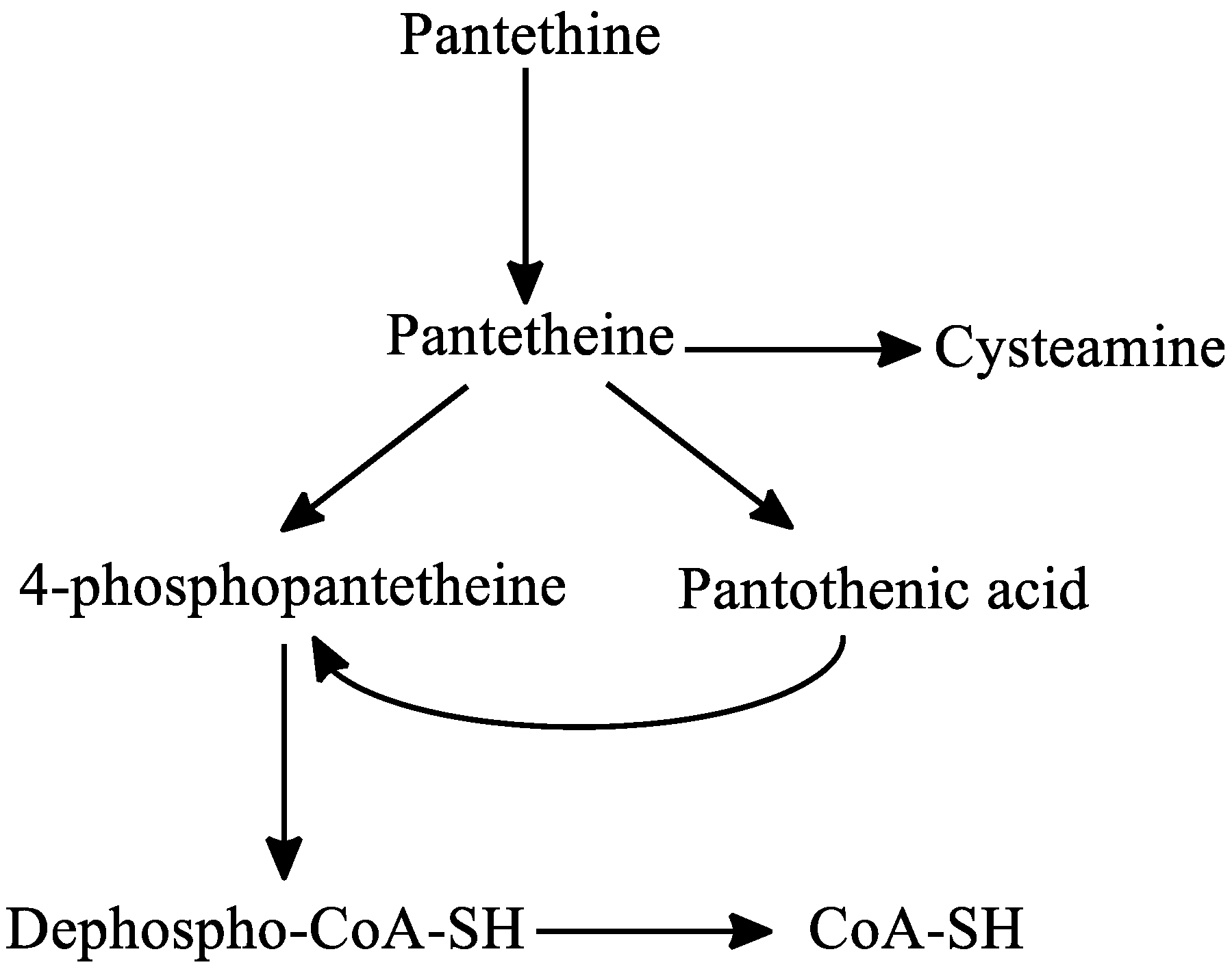Ijms 22 00403 g006 Ijms 22 00403 g006